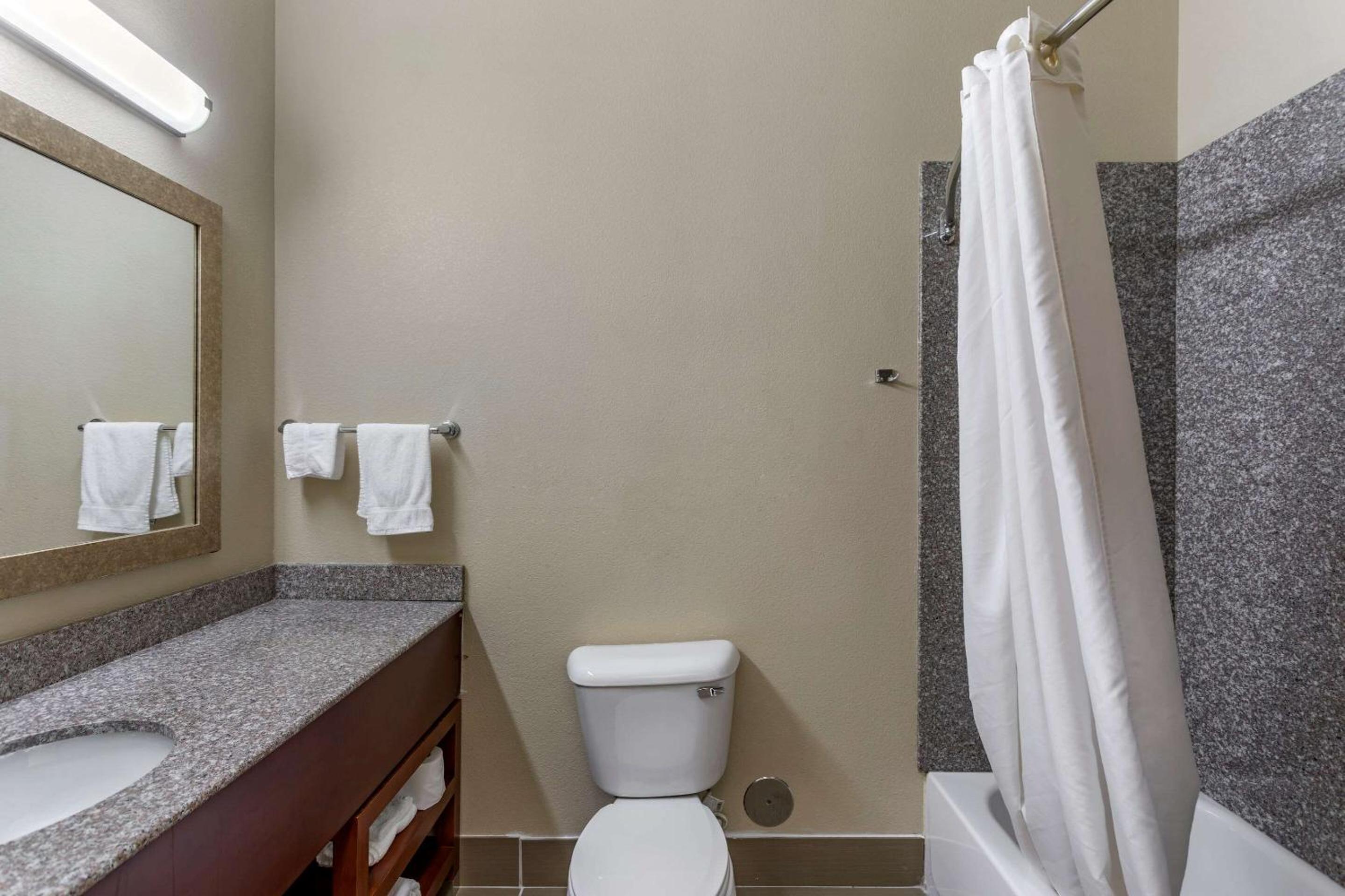 Carbondale Vacations - Comfort Inn  Suites Carbondale University Area - Property Image 2