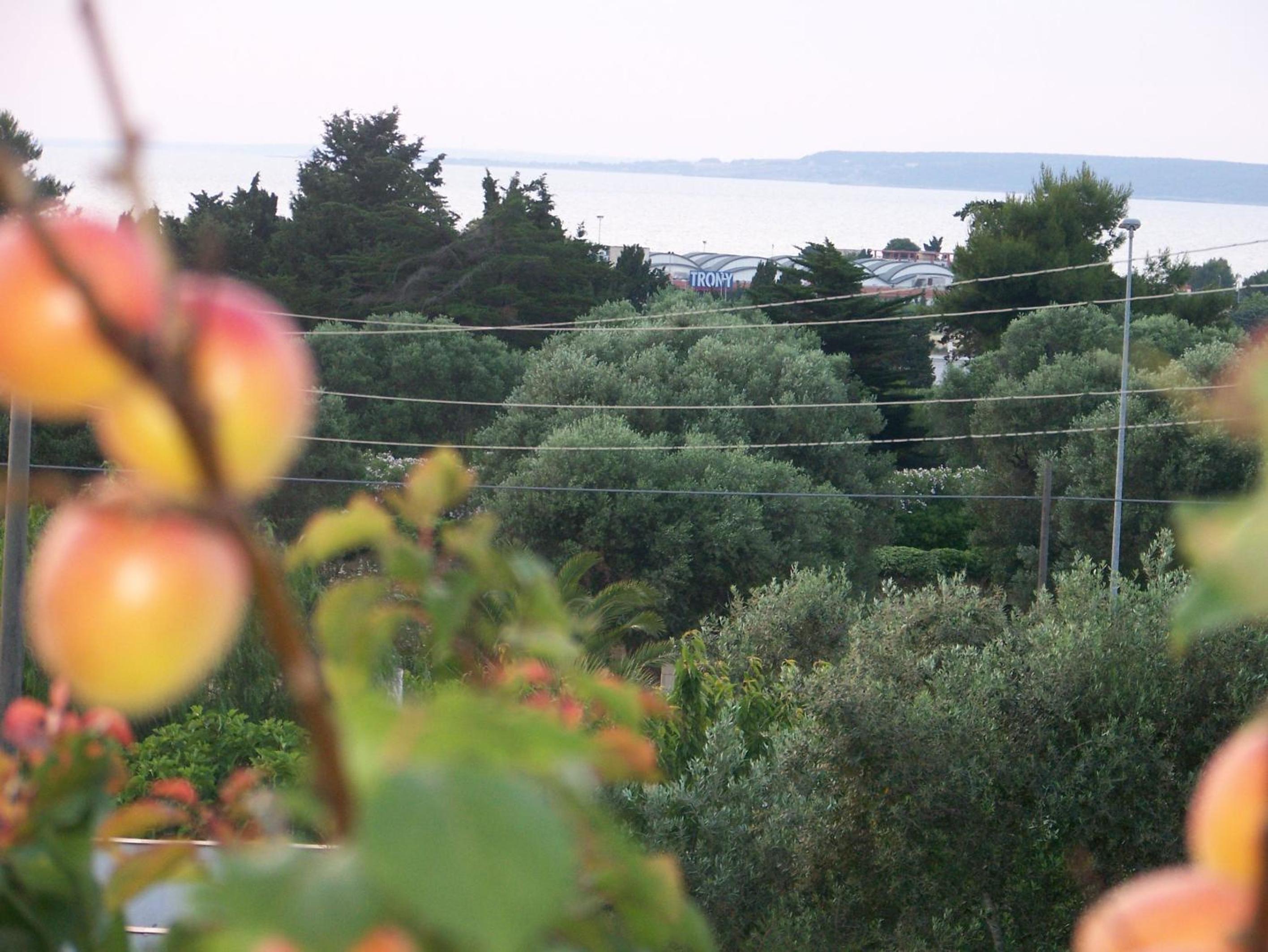 Villa Casa Vacanze Fiore