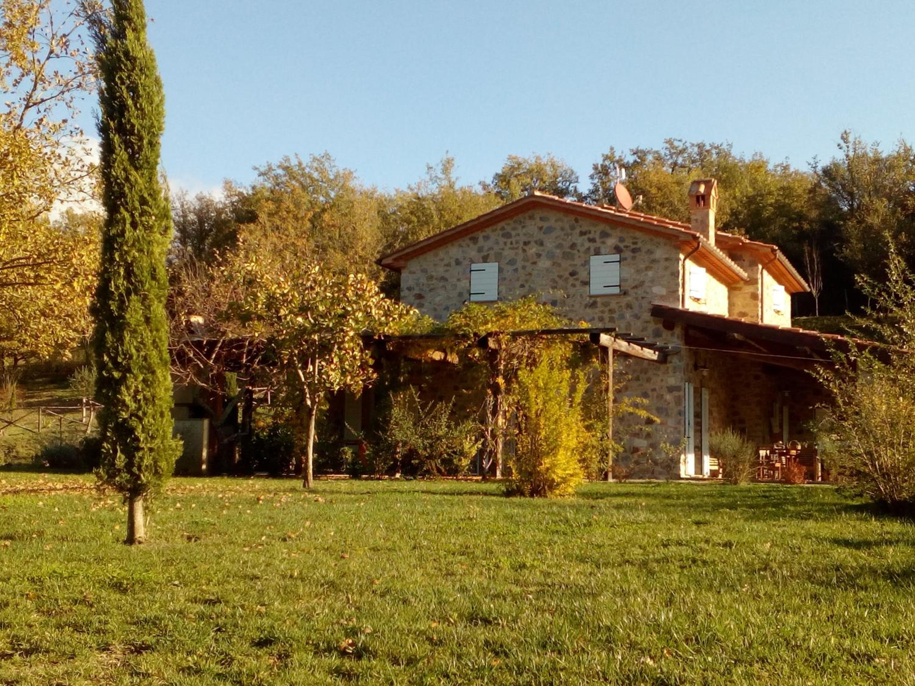 Photo 8