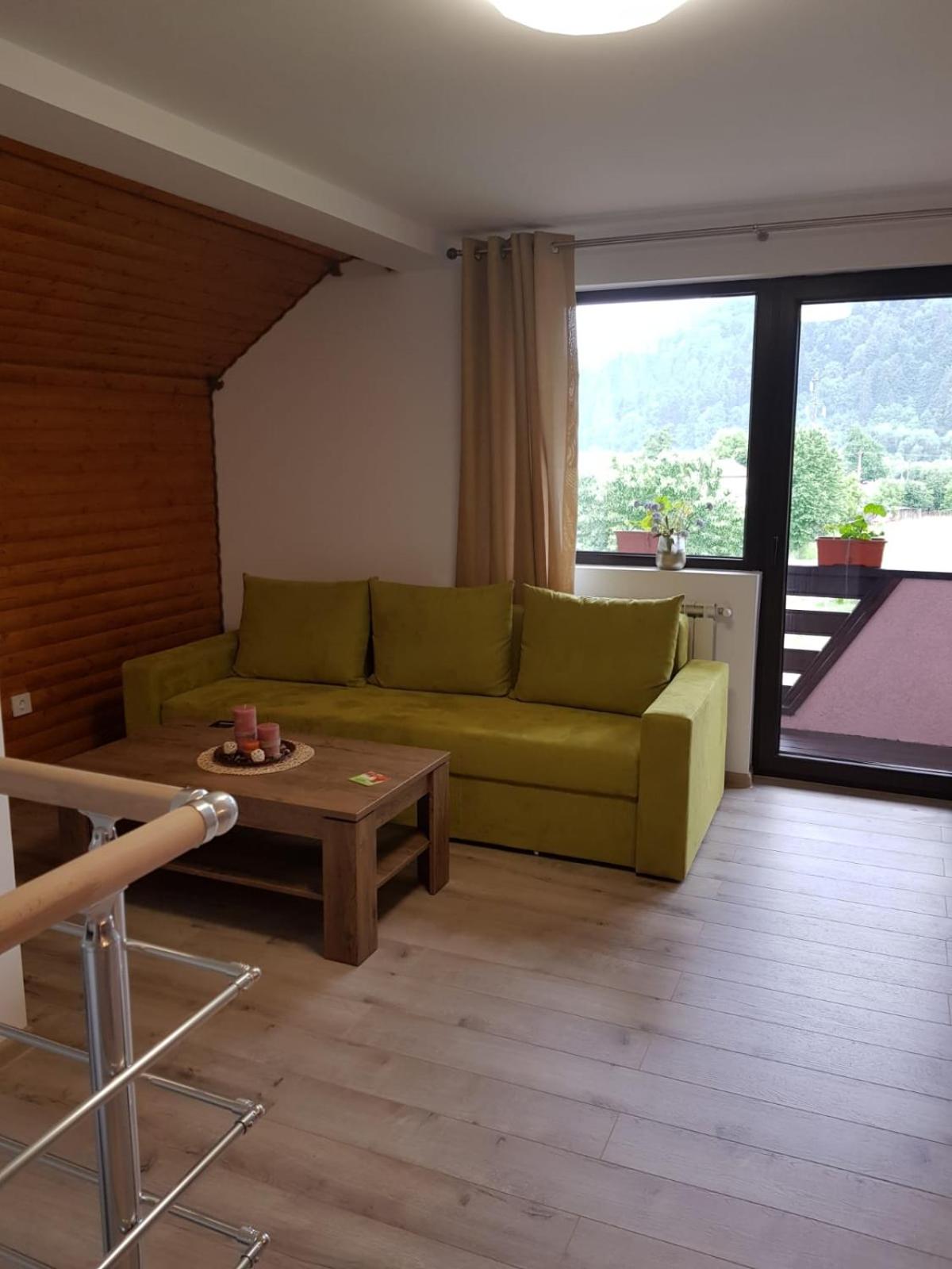 Casa Alesia Bucovina view 5