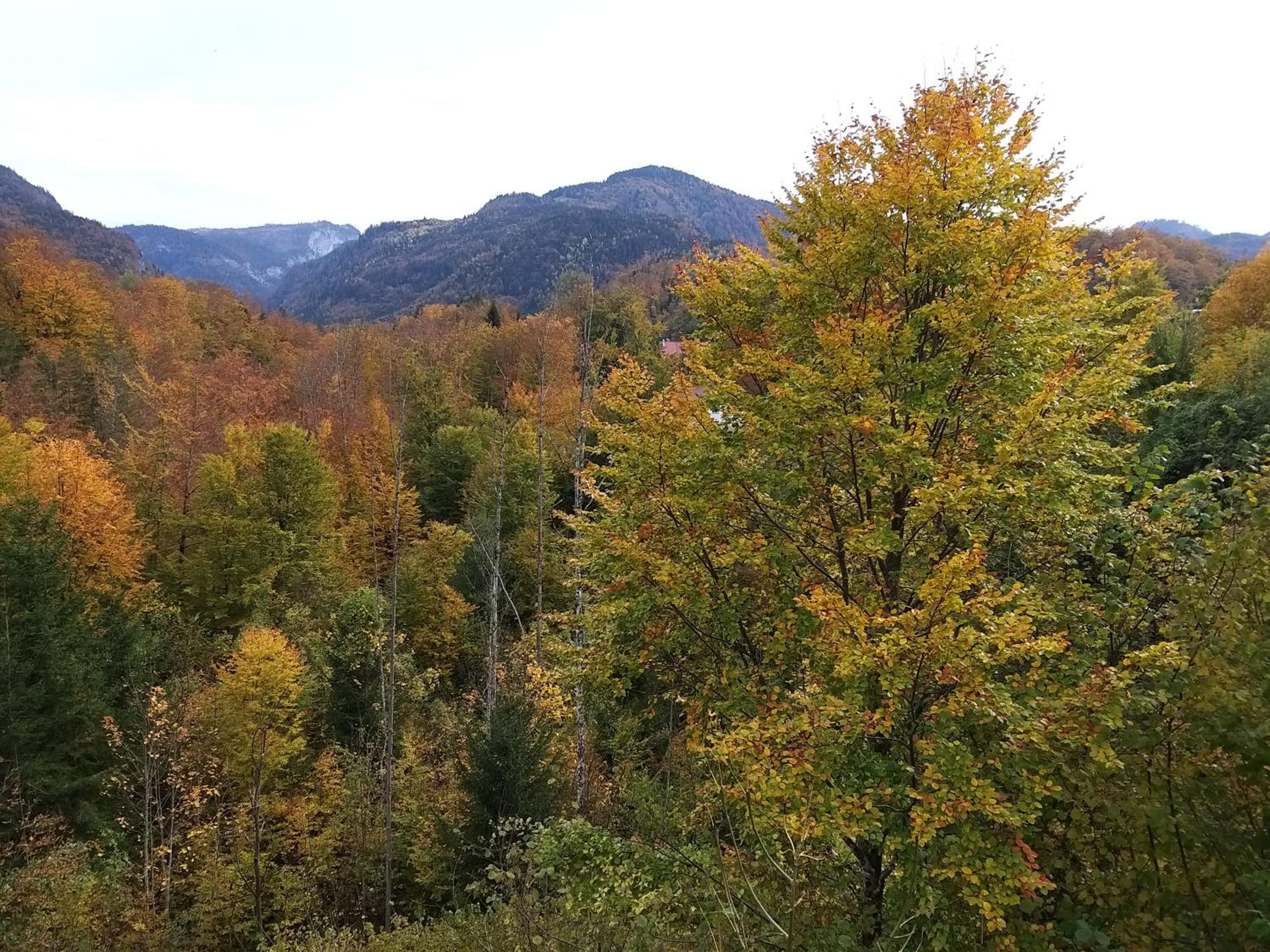CHILL&SLEEP Bad Ischl