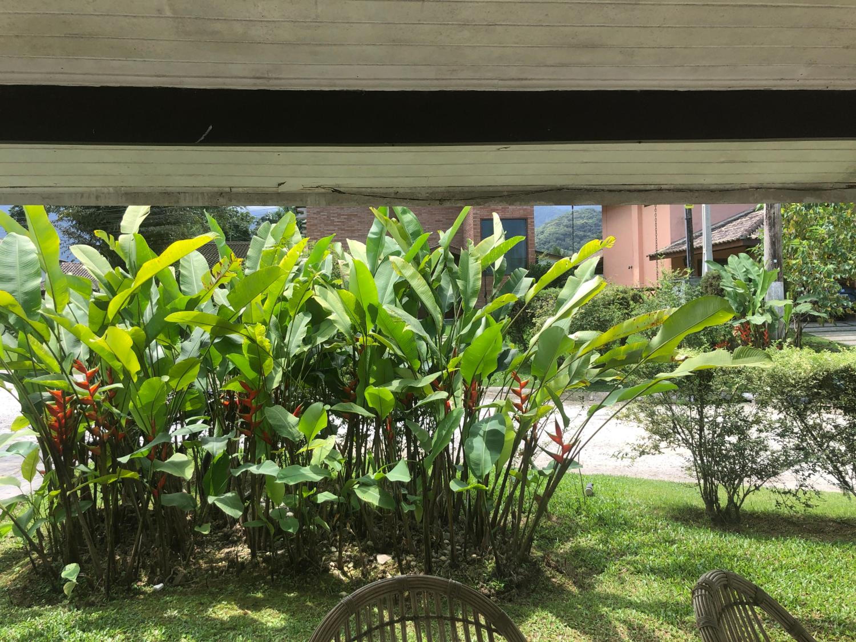 Casa com piscina ubatuba