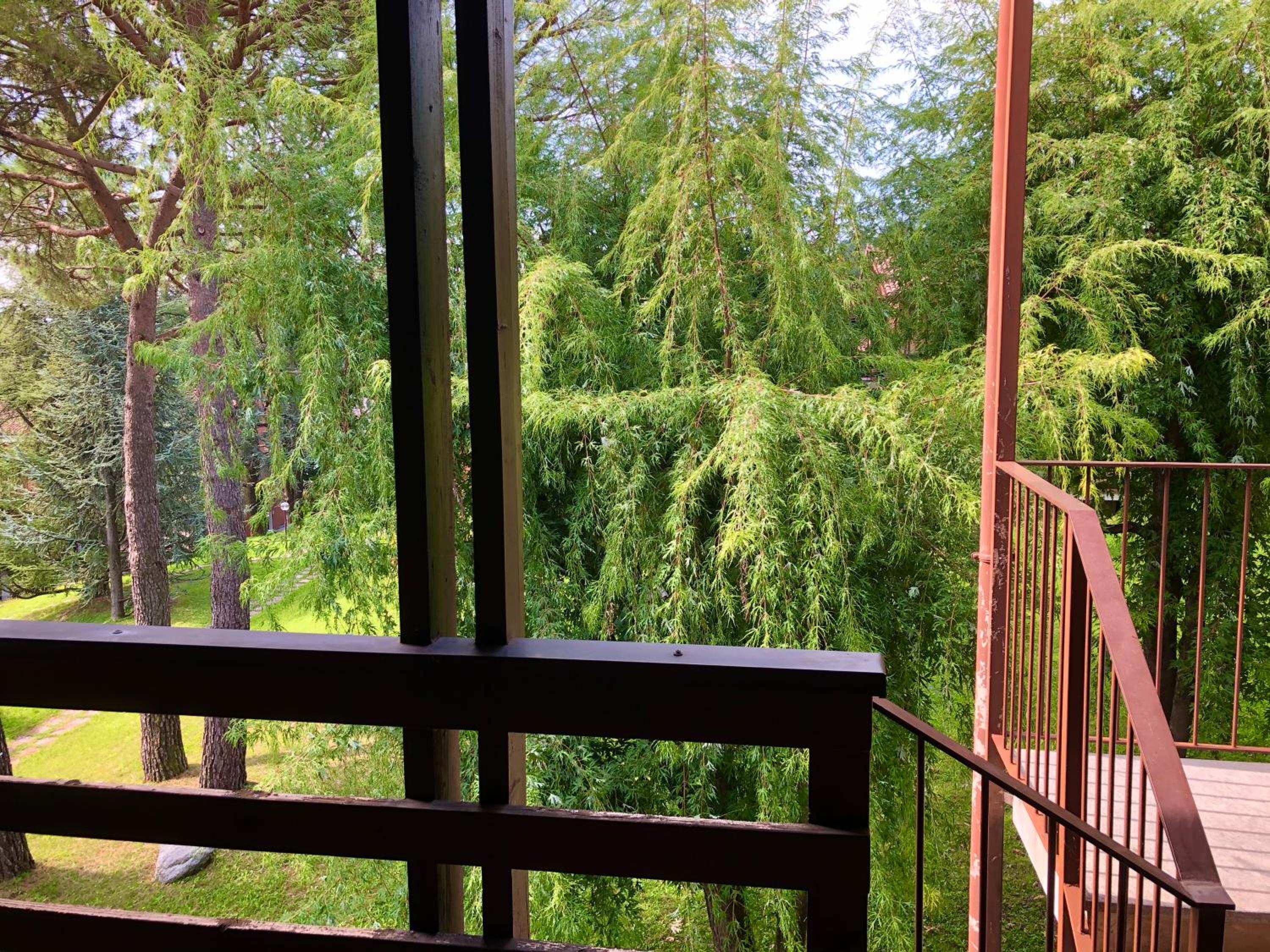 Green Apartment view 5