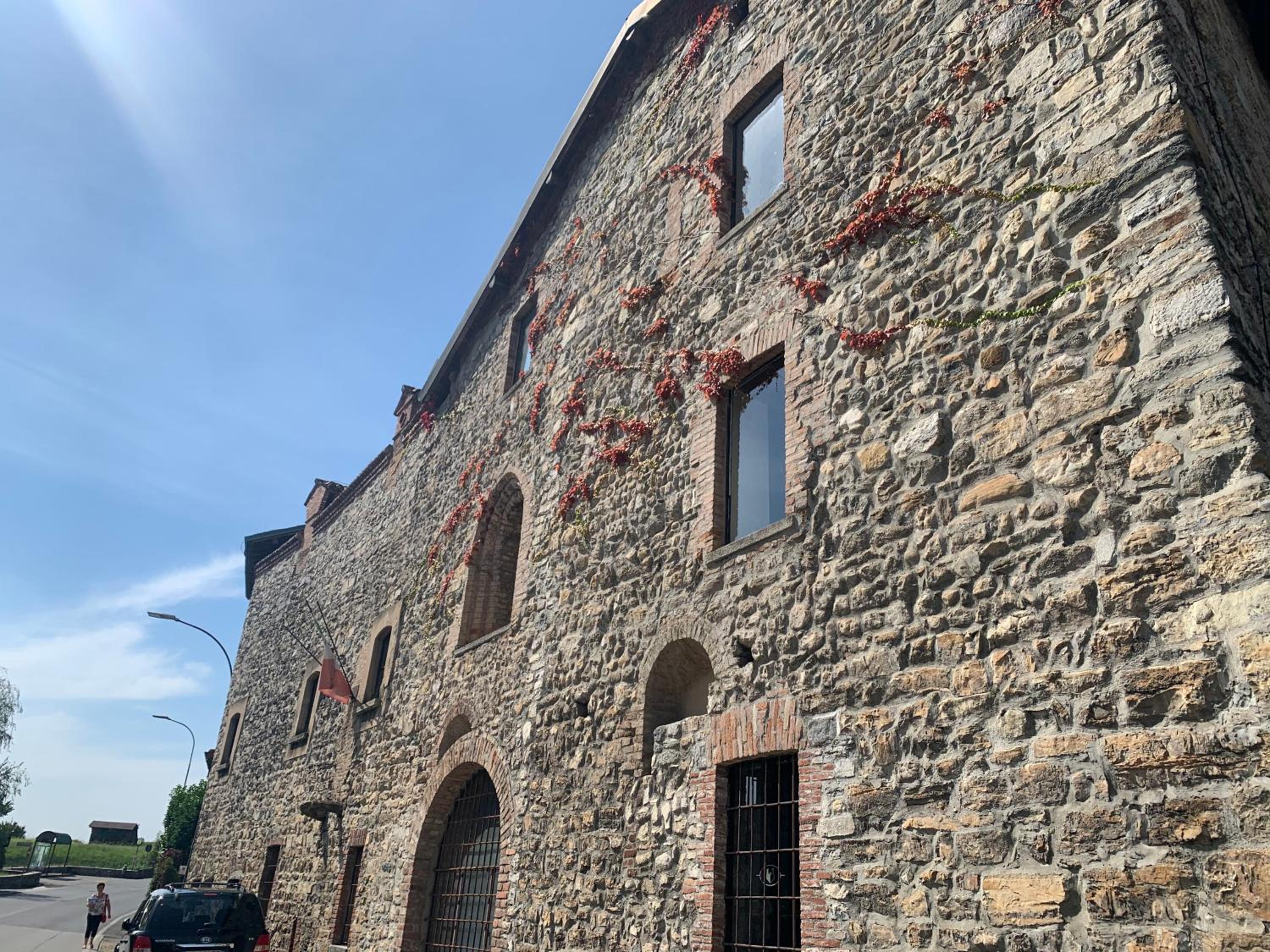 Photo 19