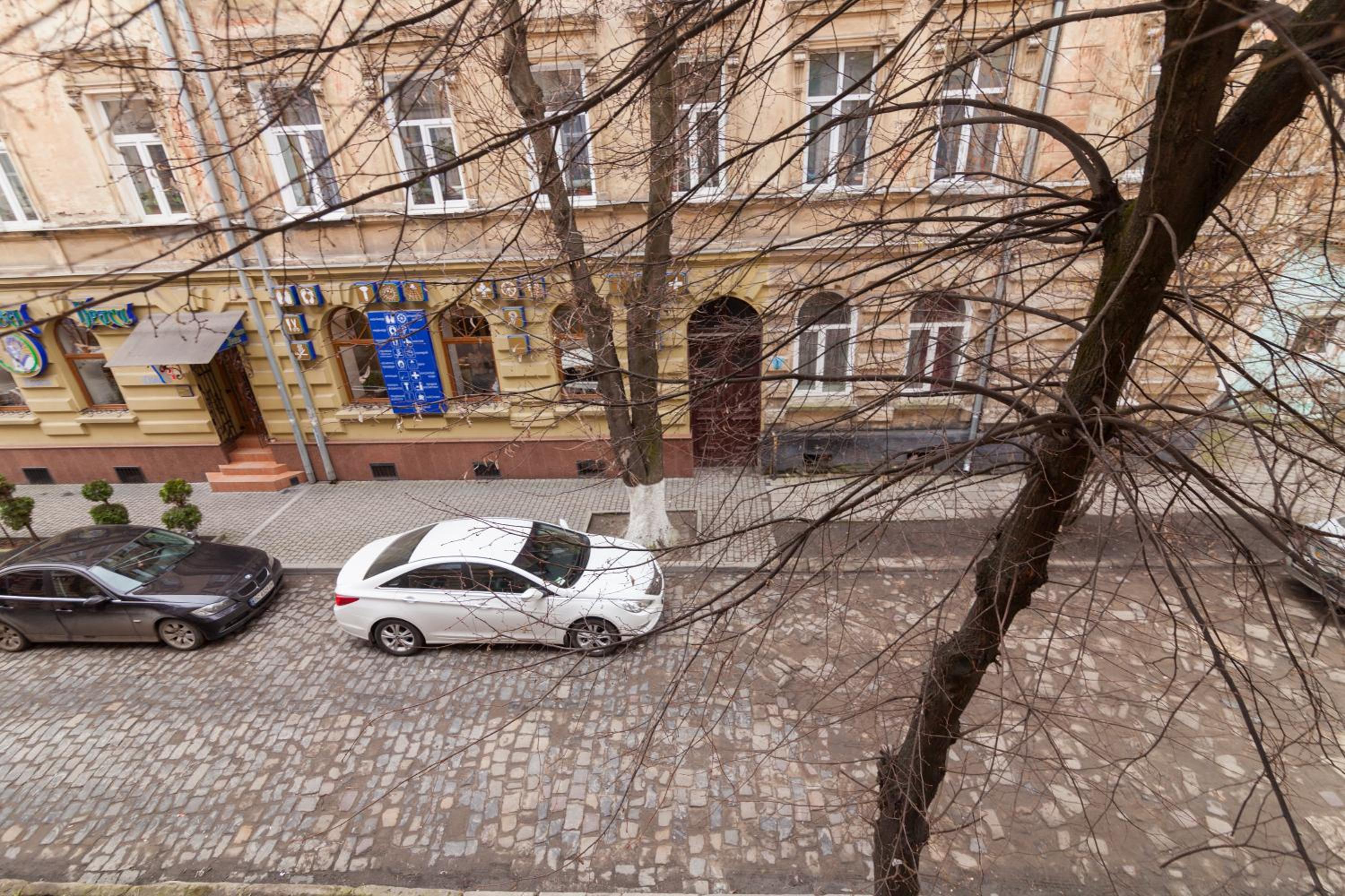 3х комнатная уютная квартира в центре Львова view 2