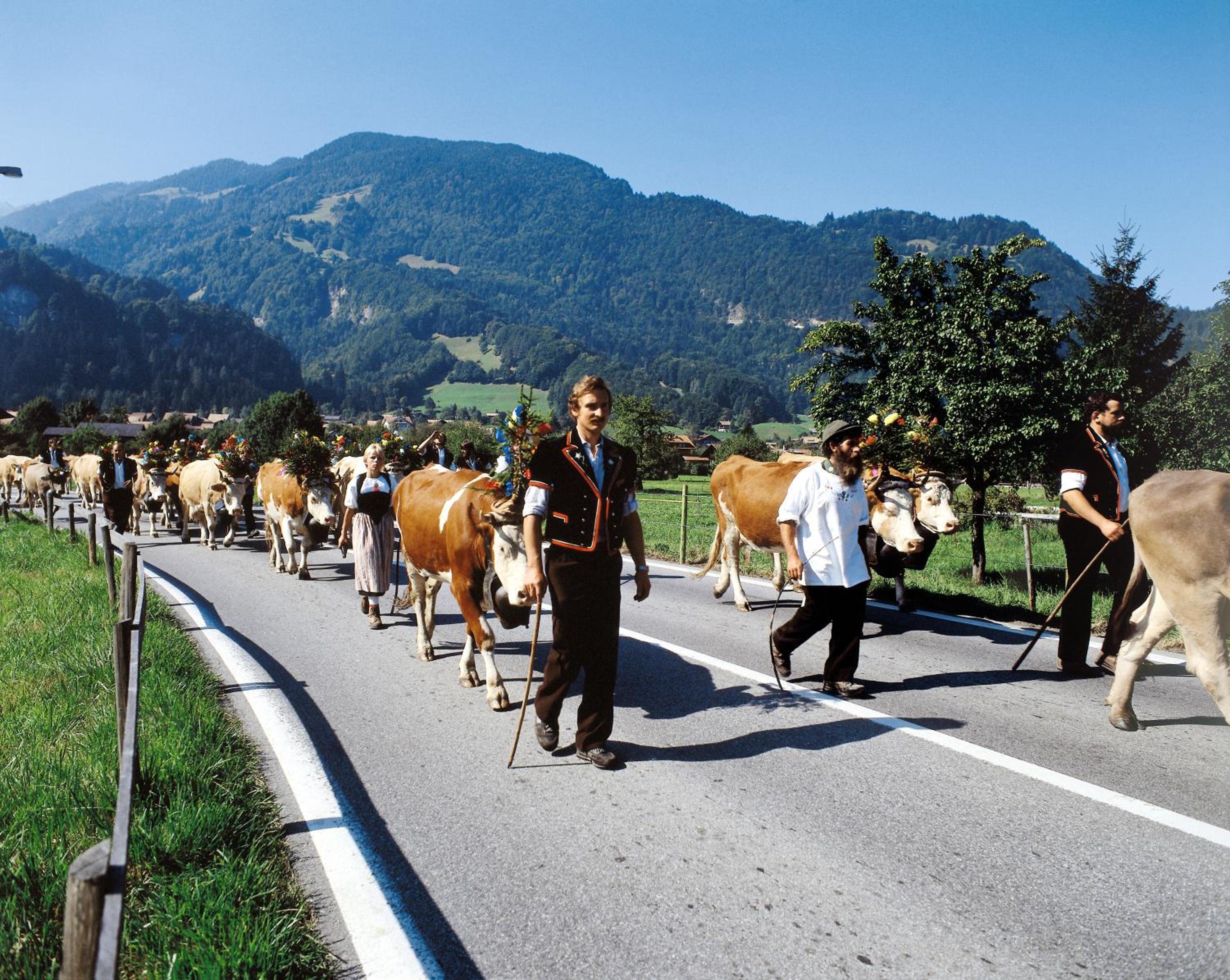Chalet Gafri -Boutique B&B - comfort and hospitality - near Interlaken