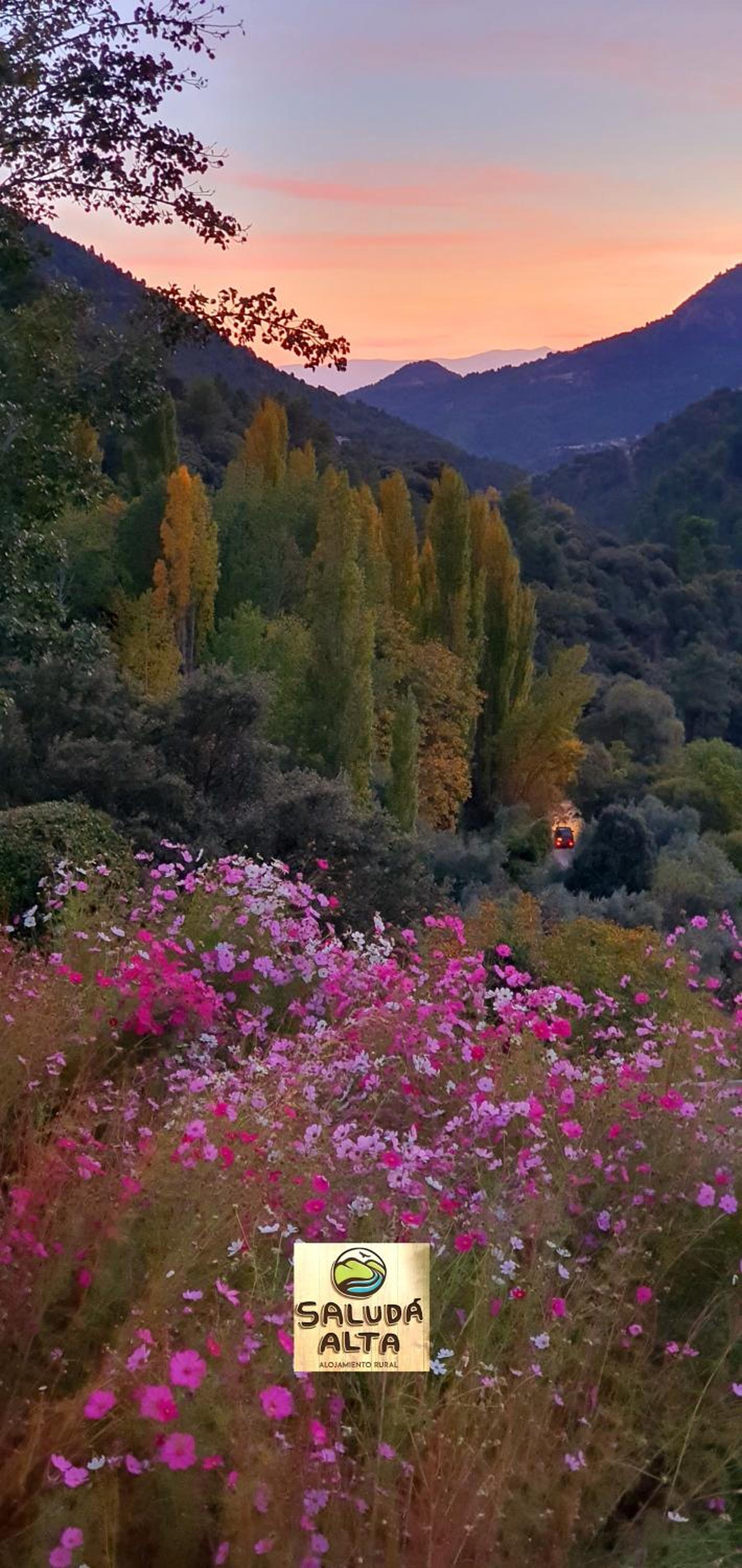 Saluda Alta view 2