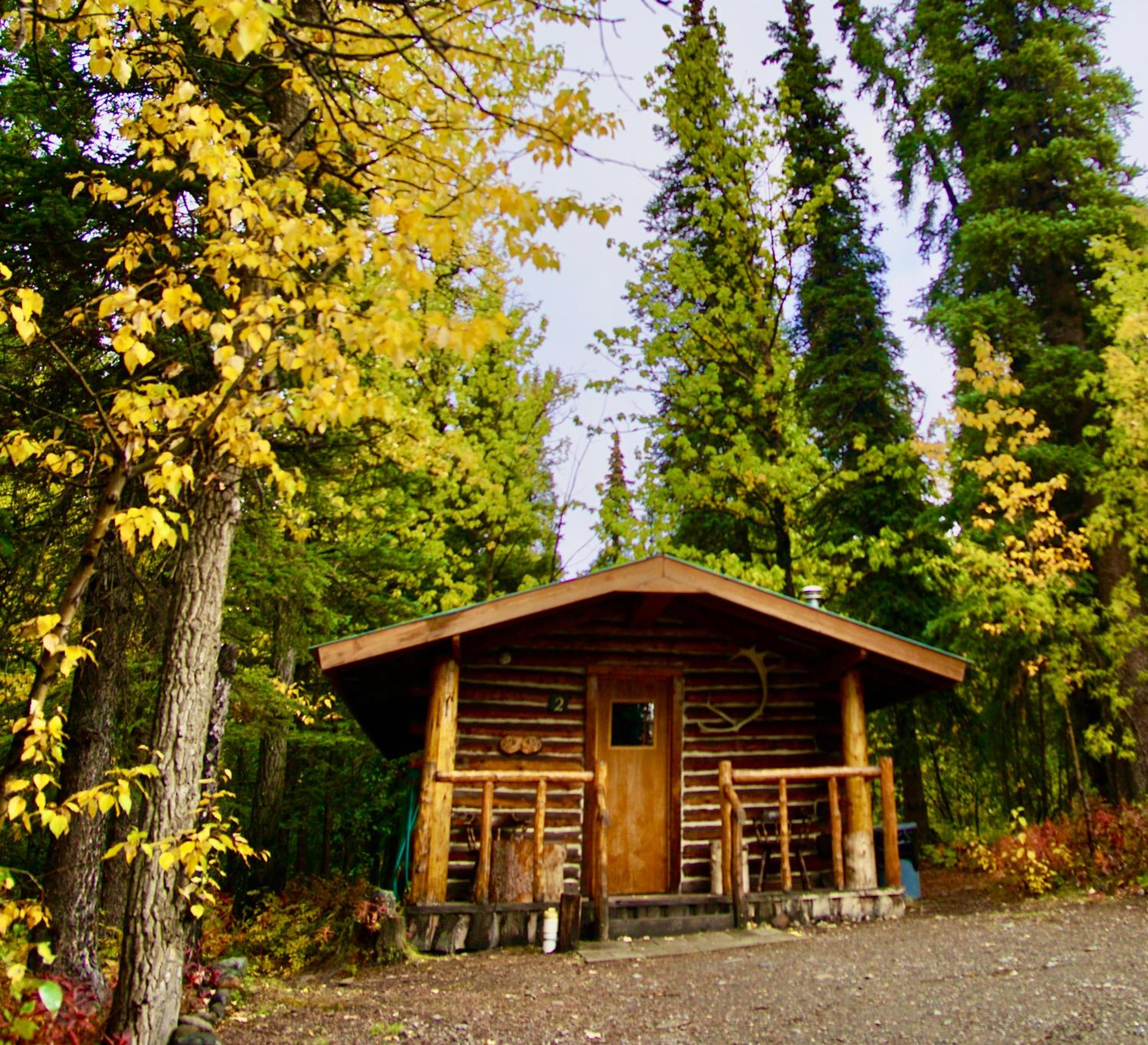 Photo 46