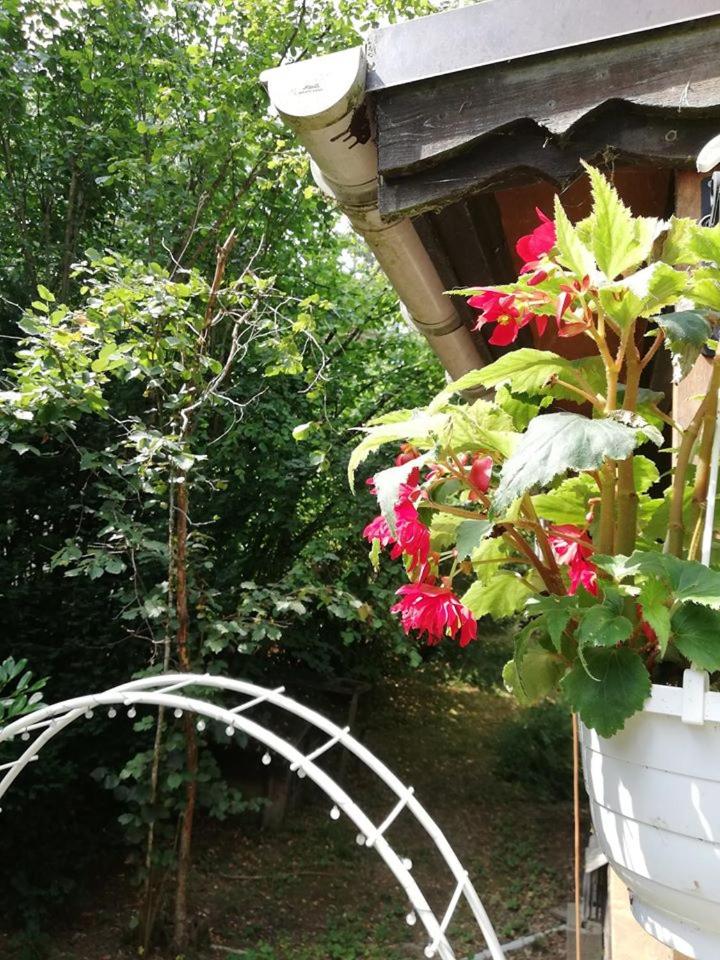 Photo 22