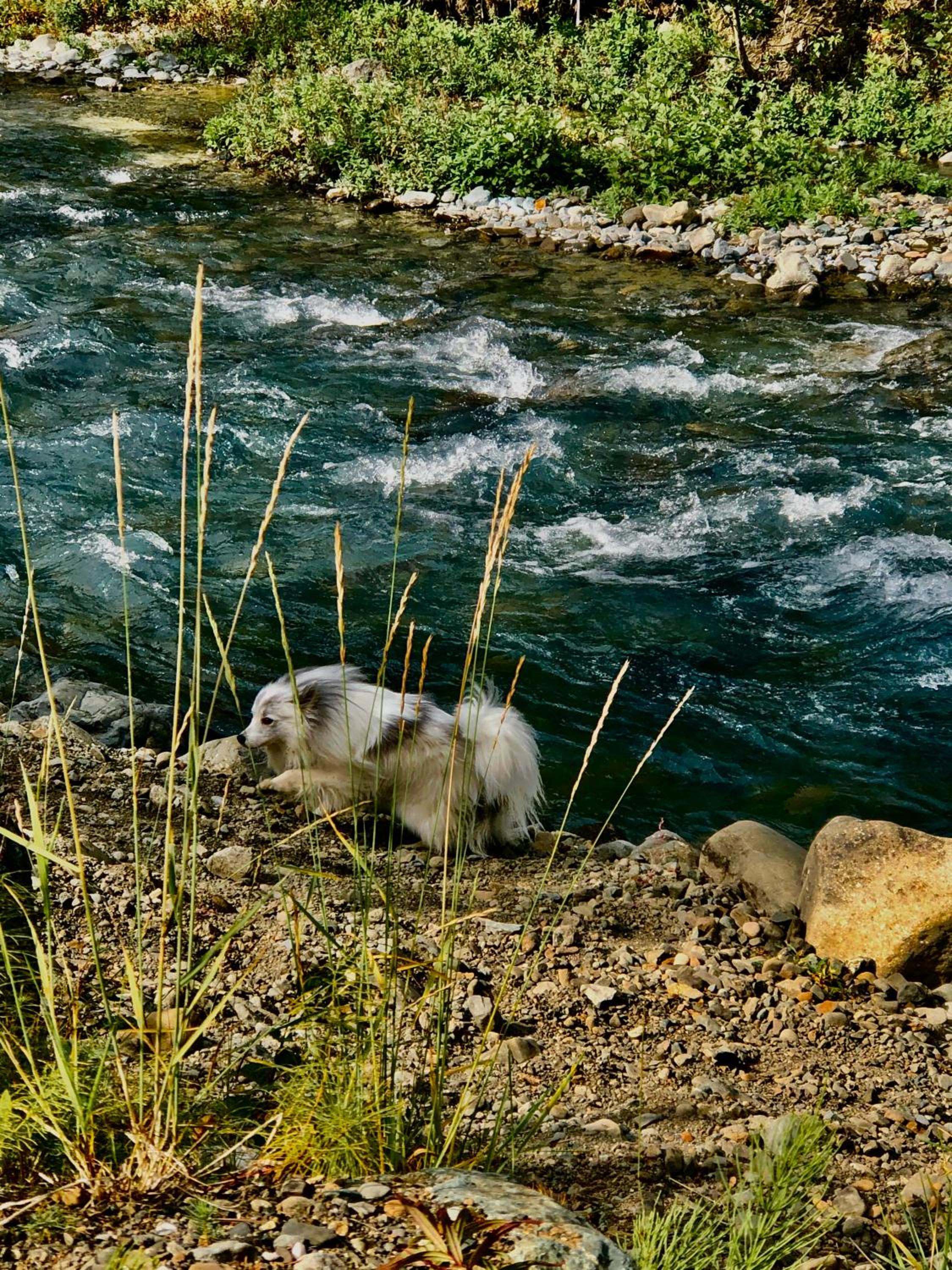 Photo 43