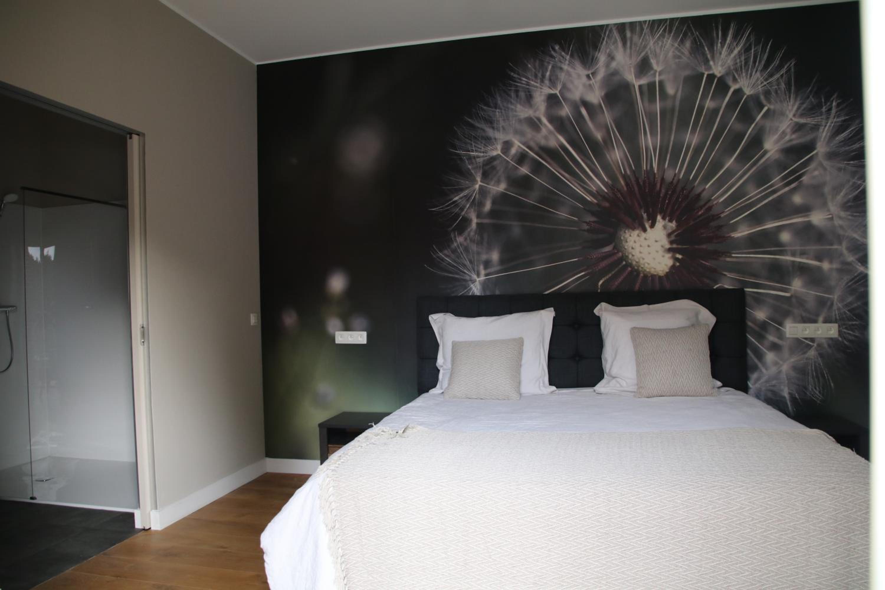 B&B Het Doctershoes