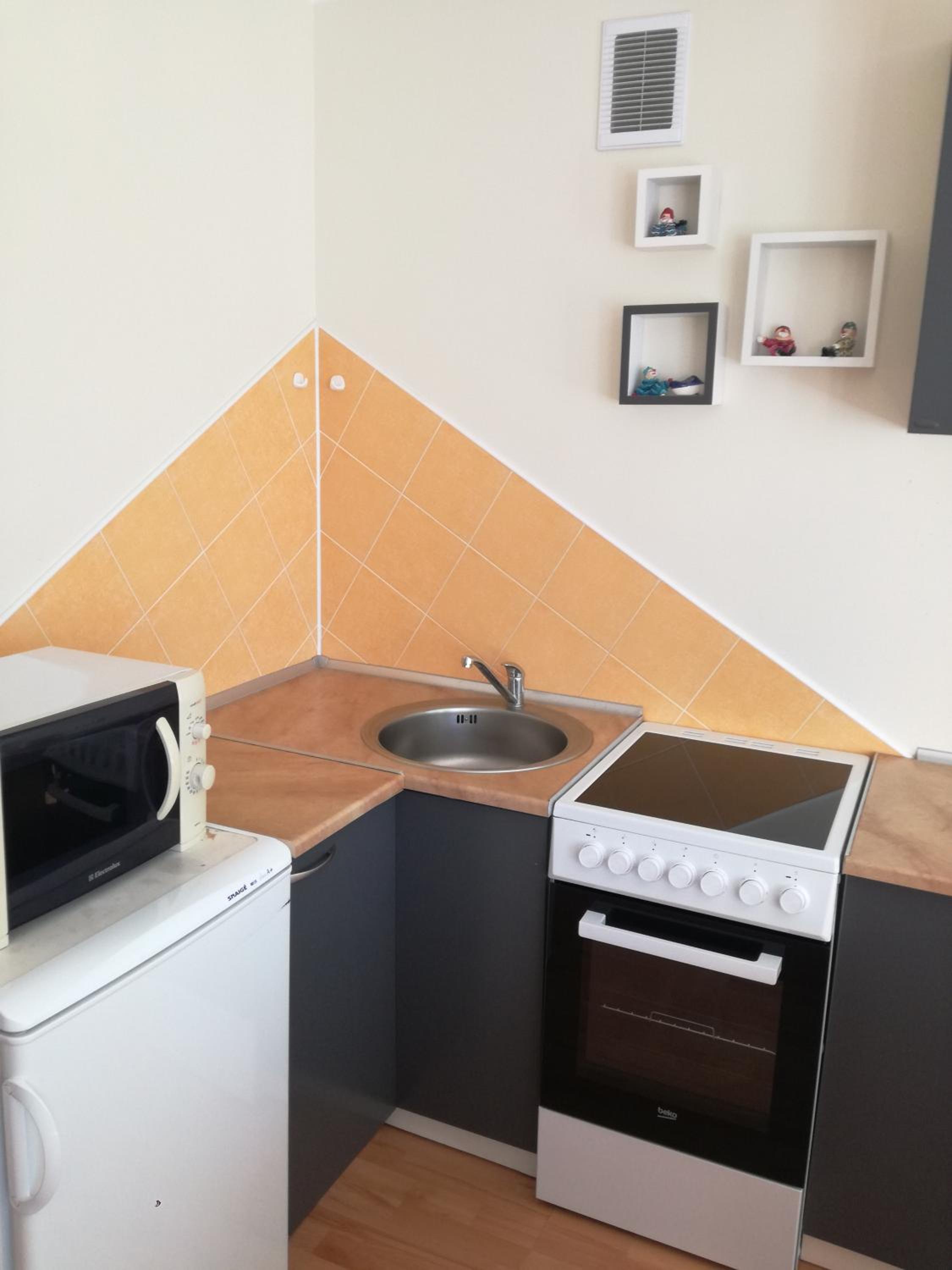 Apartment for rent Druskininkai view 3