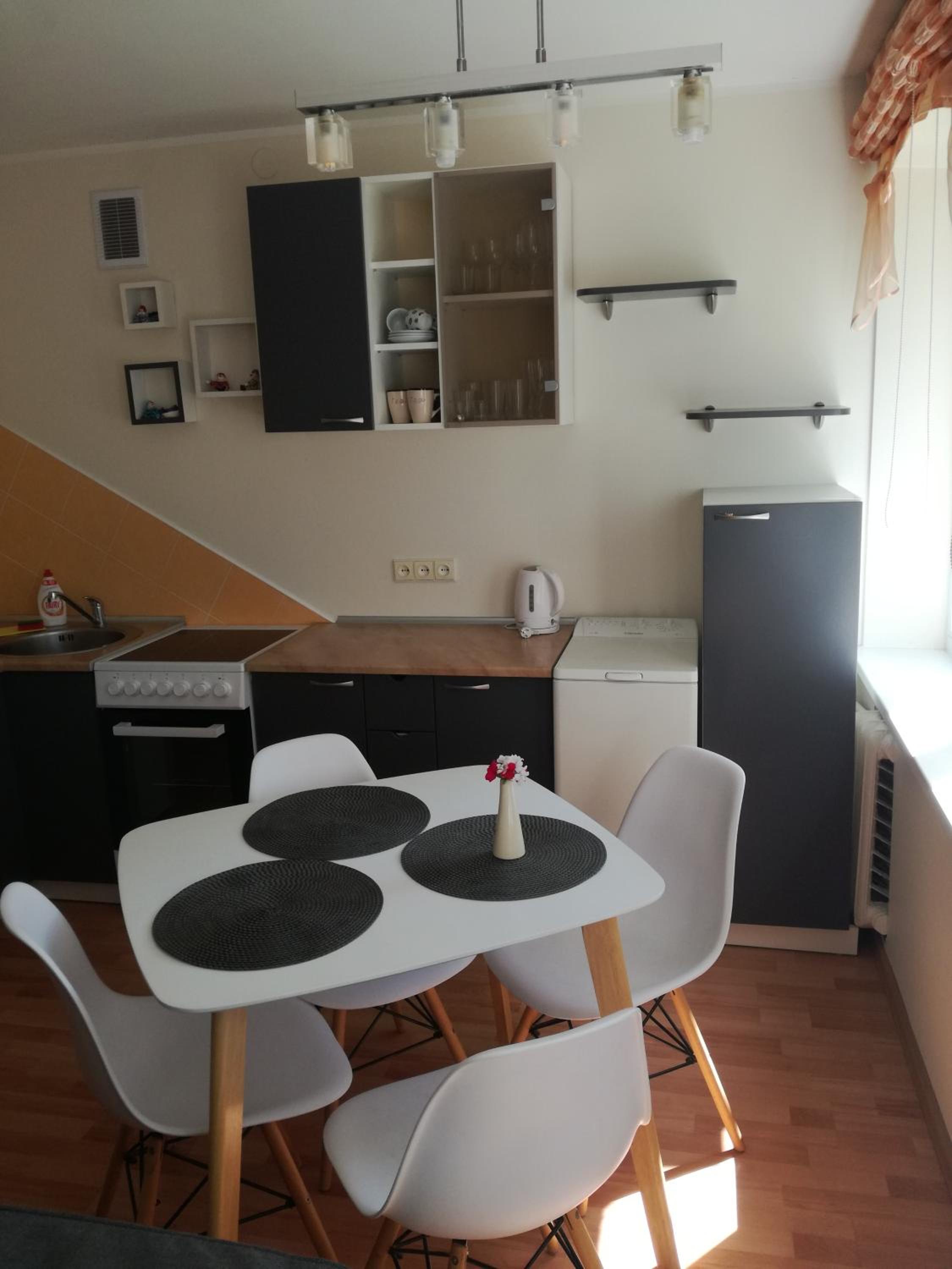 Apartment for rent Druskininkai view 4