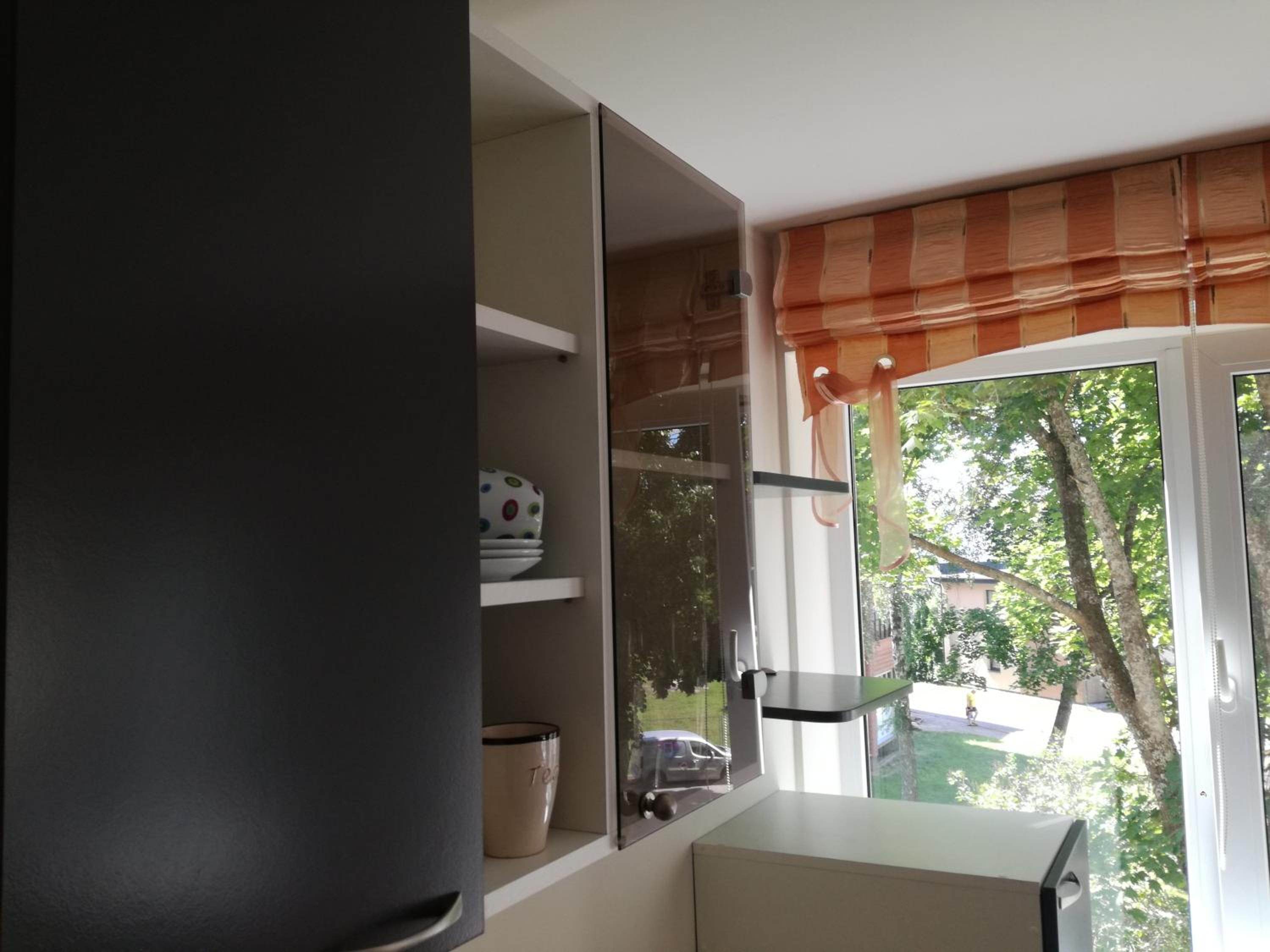 Apartment for rent Druskininkai view 5