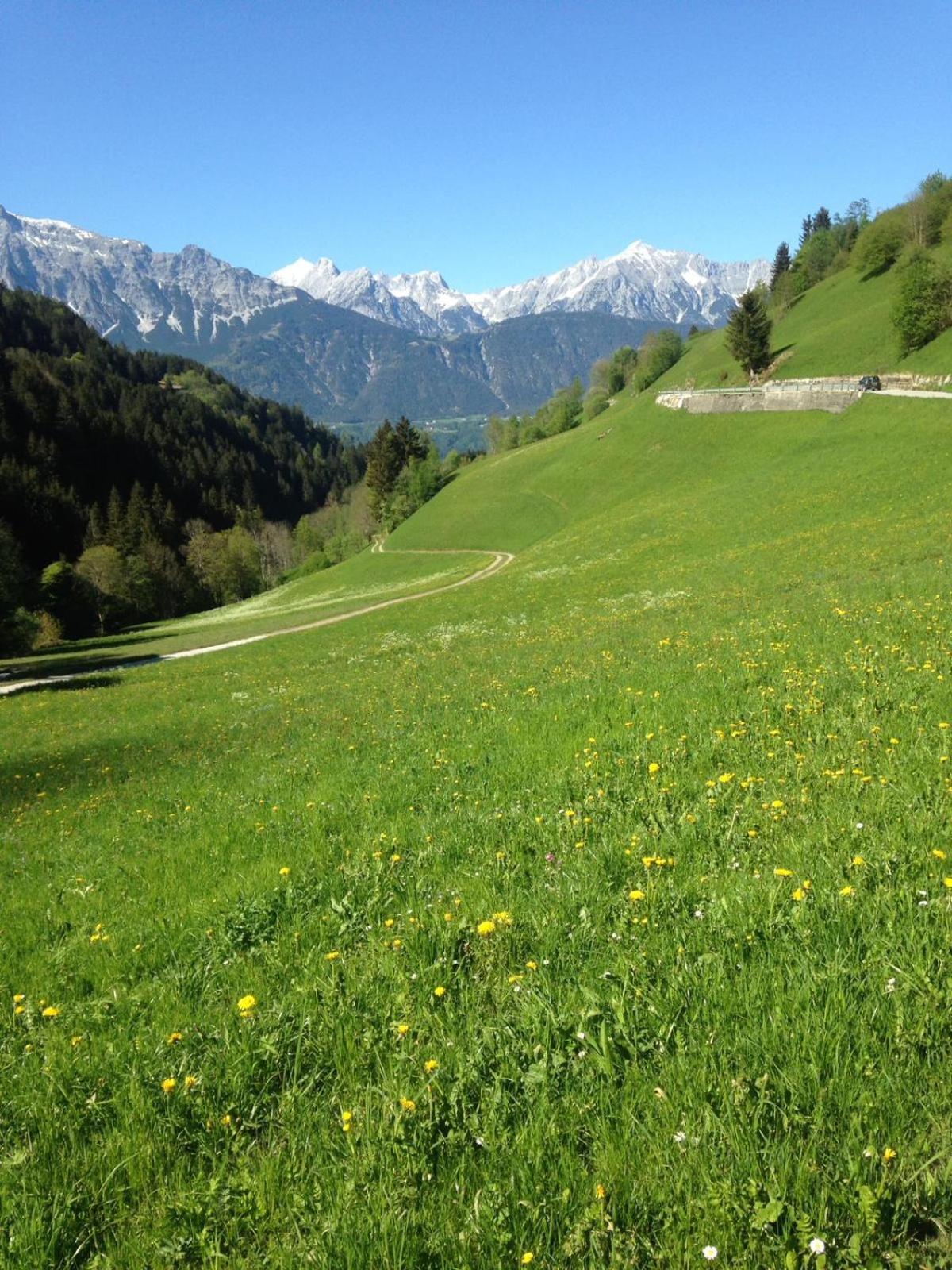 Alpen-Appartement Auerhof view 3