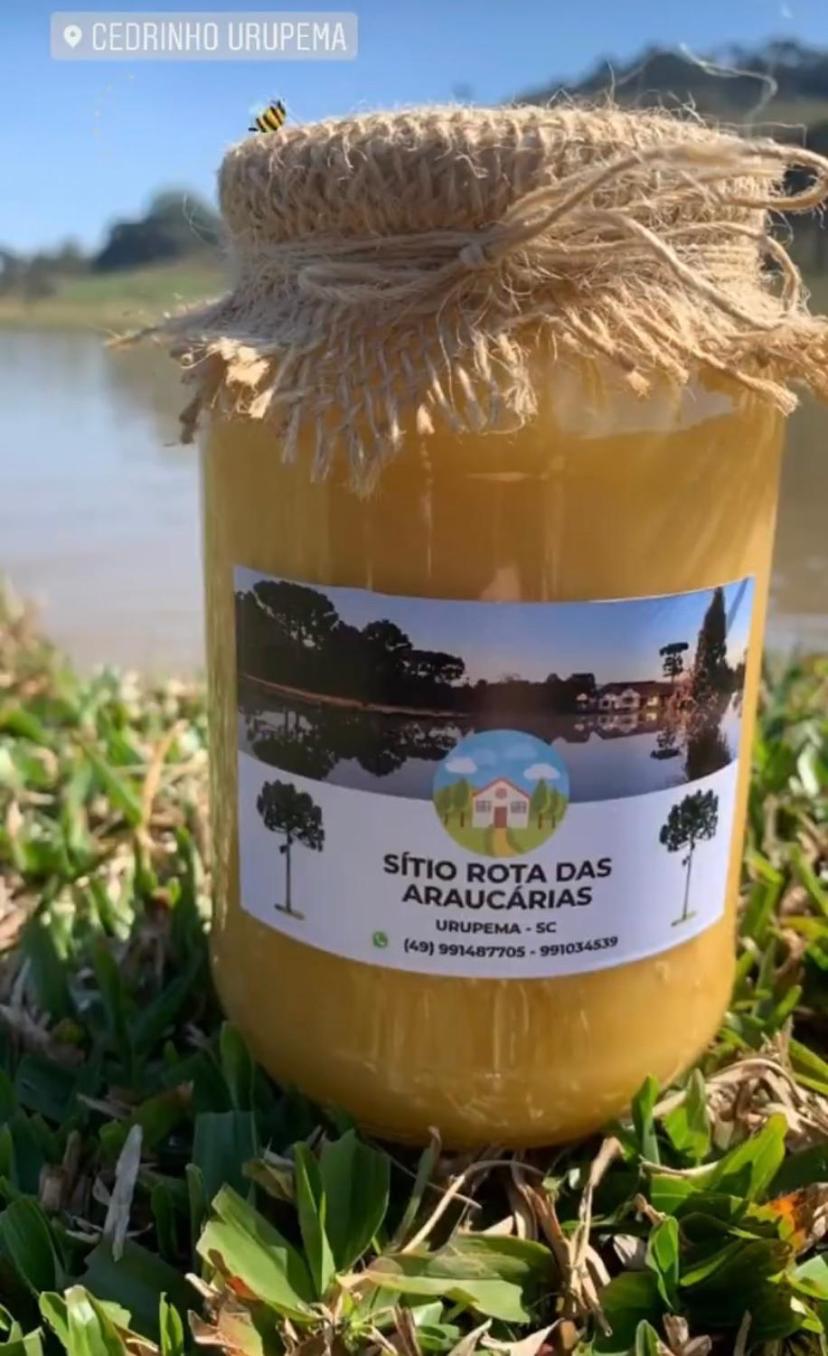 Sítio Rota das Araucárias
