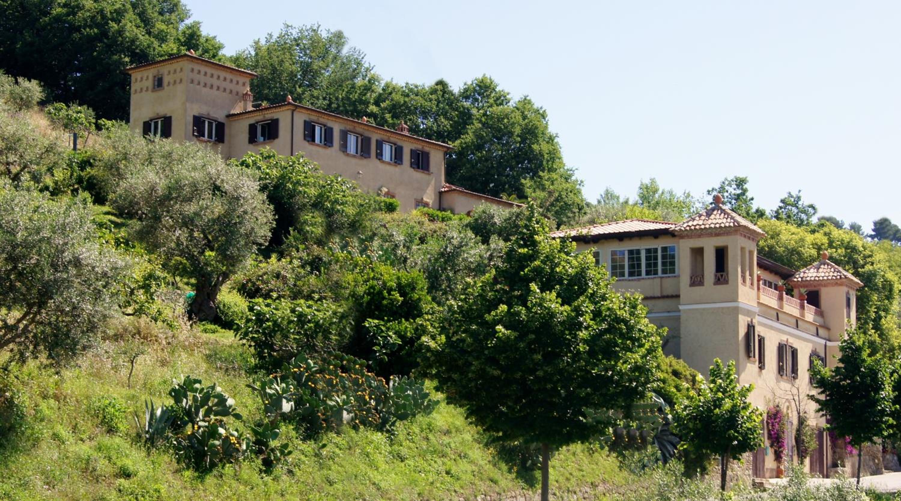 Photo 10