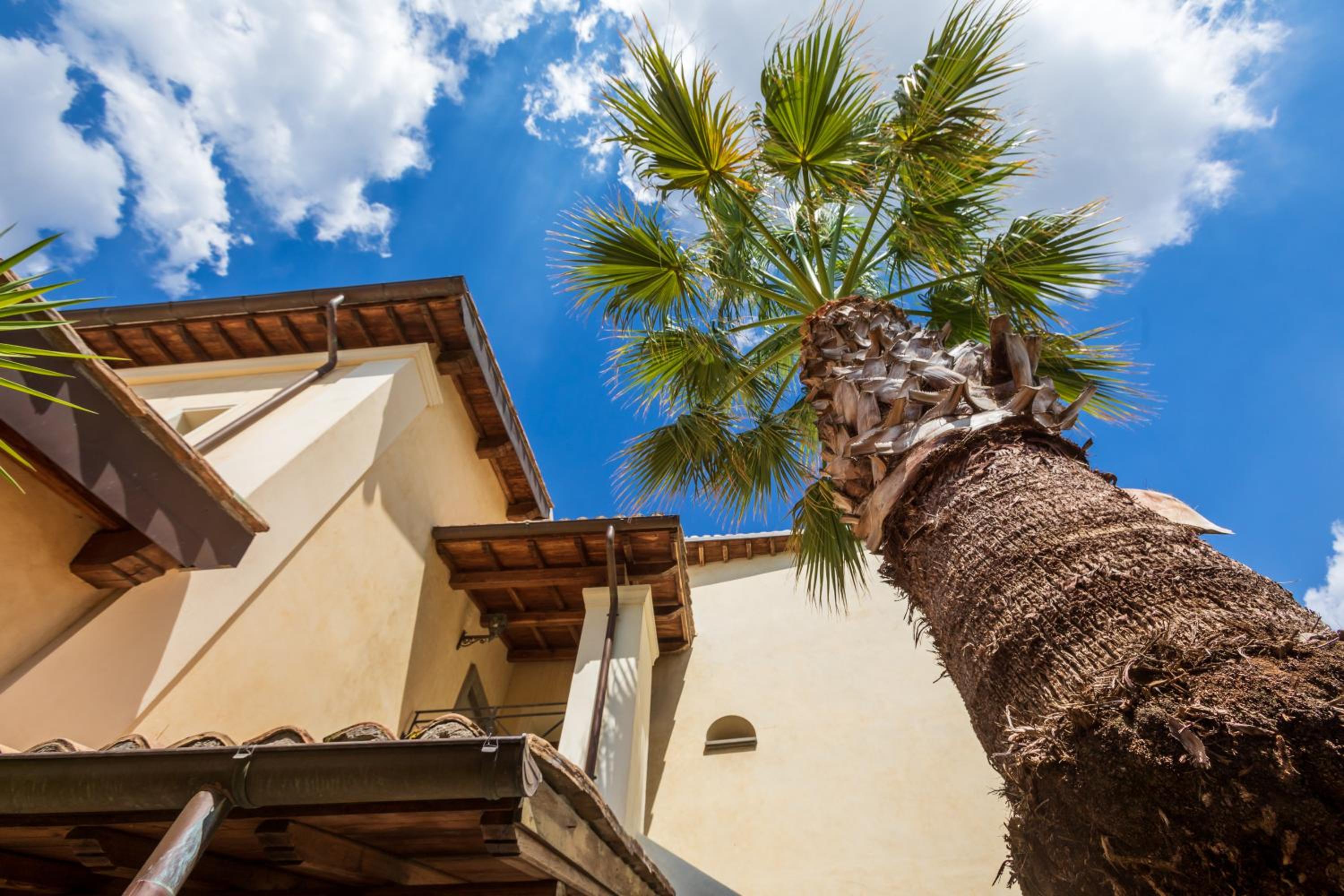 Residenza d'Epoca Pietra Di Ponente, photo 19