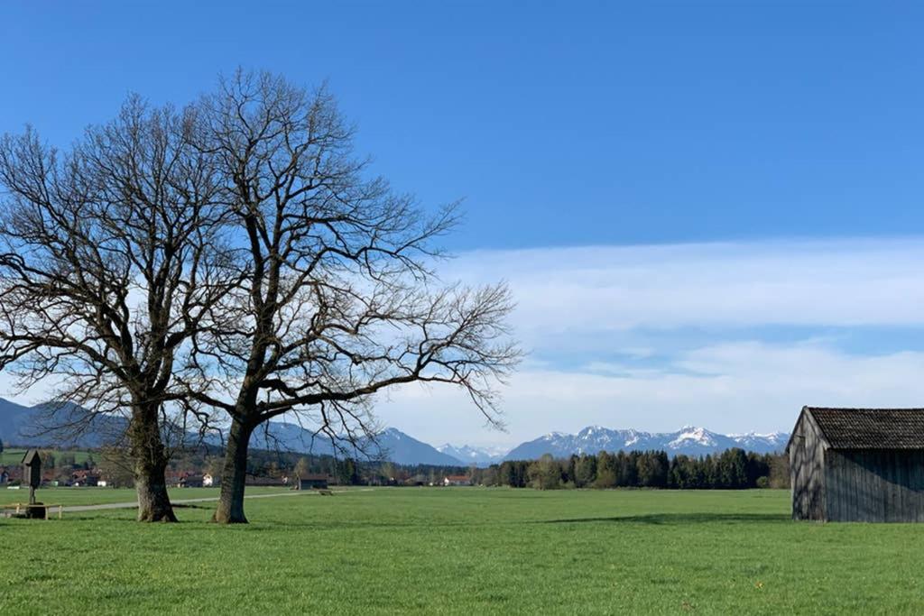 Ferienhaus Königsdorf - Urlaub im Tölzer Land