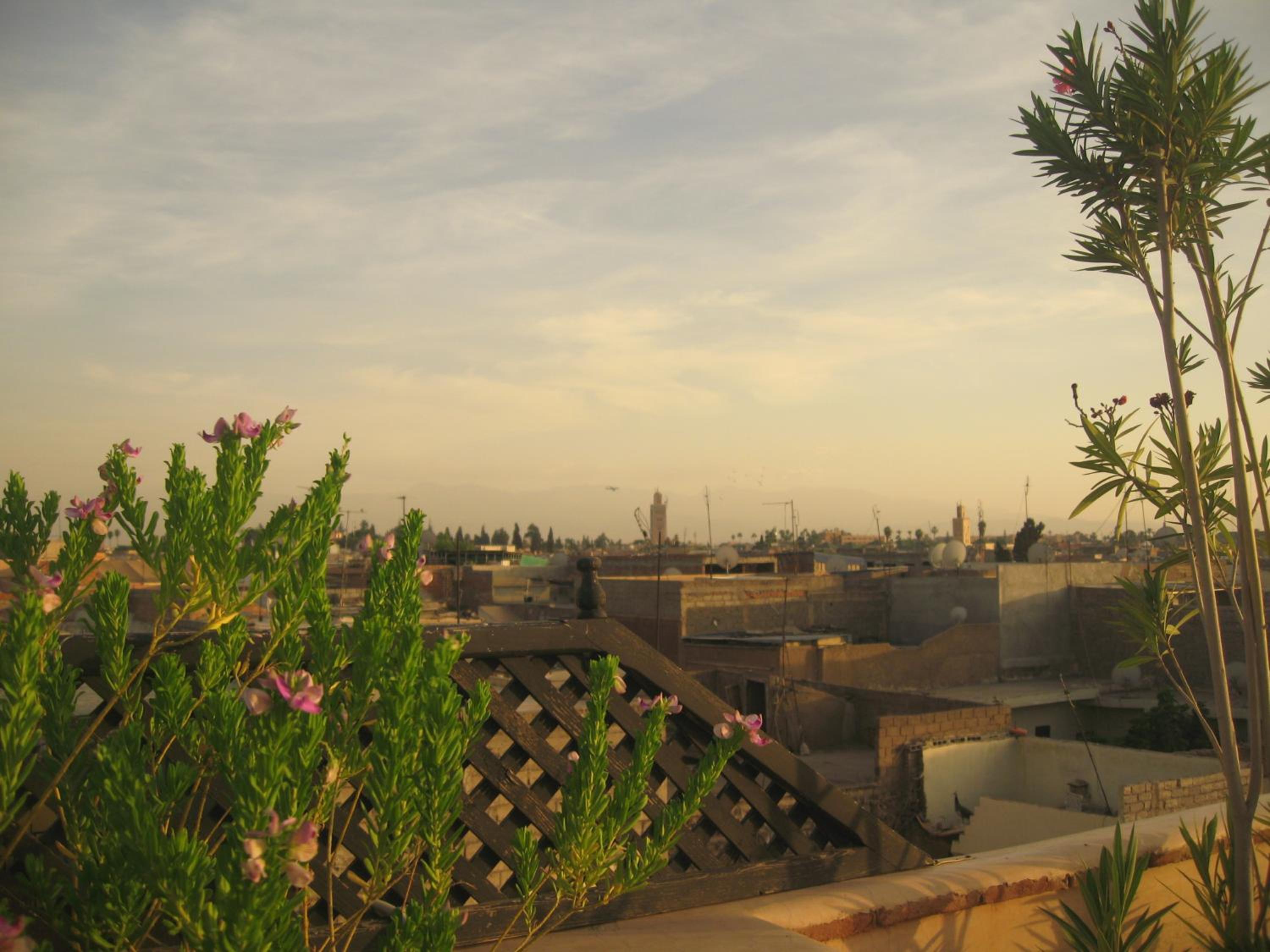 roof
