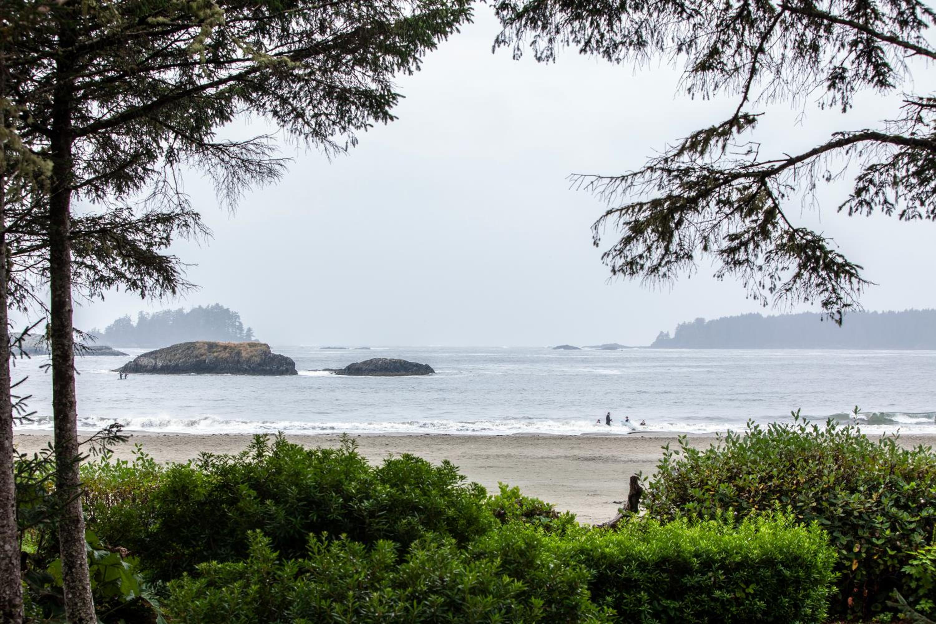 Tofino Vacations - Best Western Plus Tin Wis Resort - Property Image 11