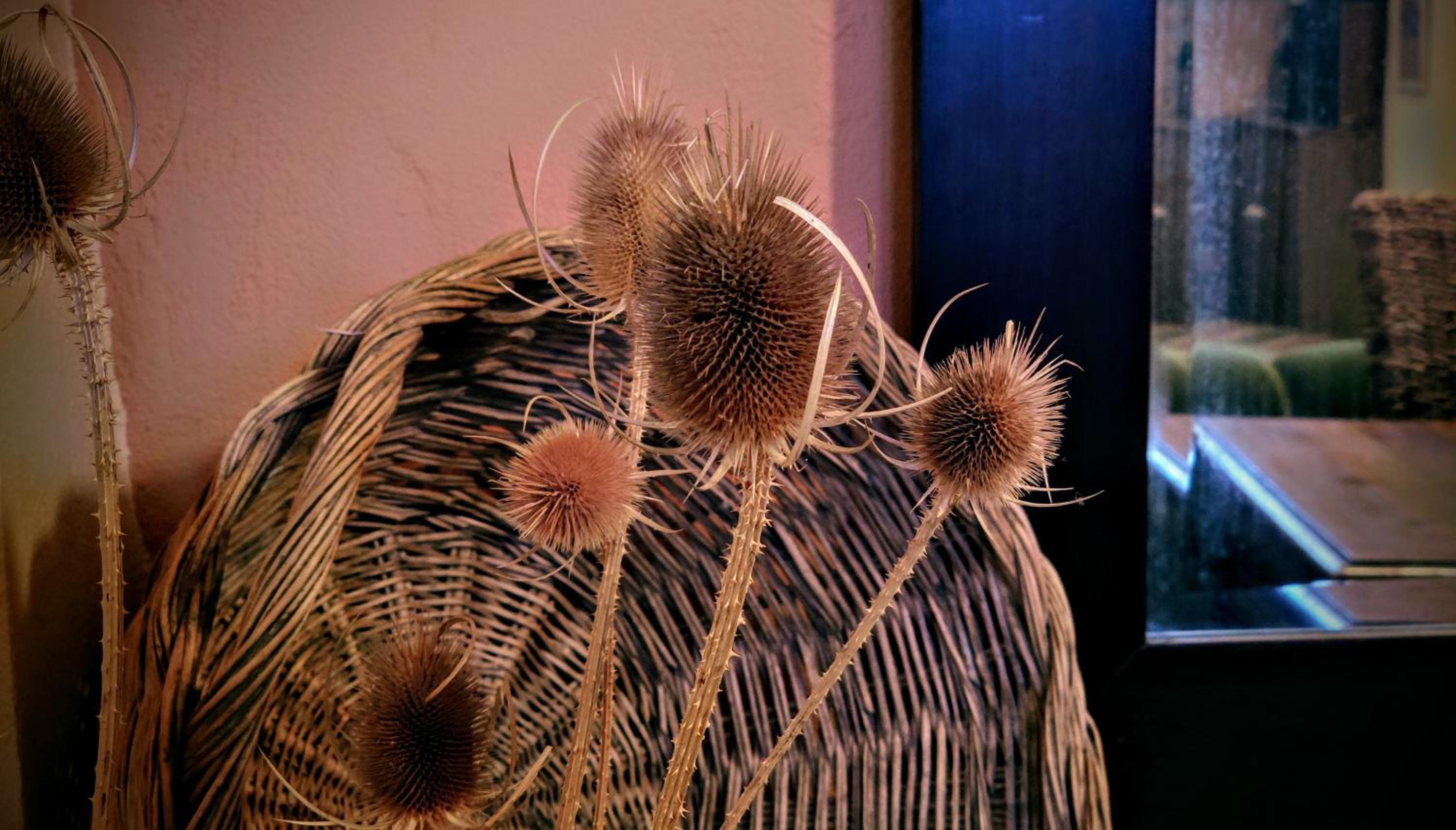 other