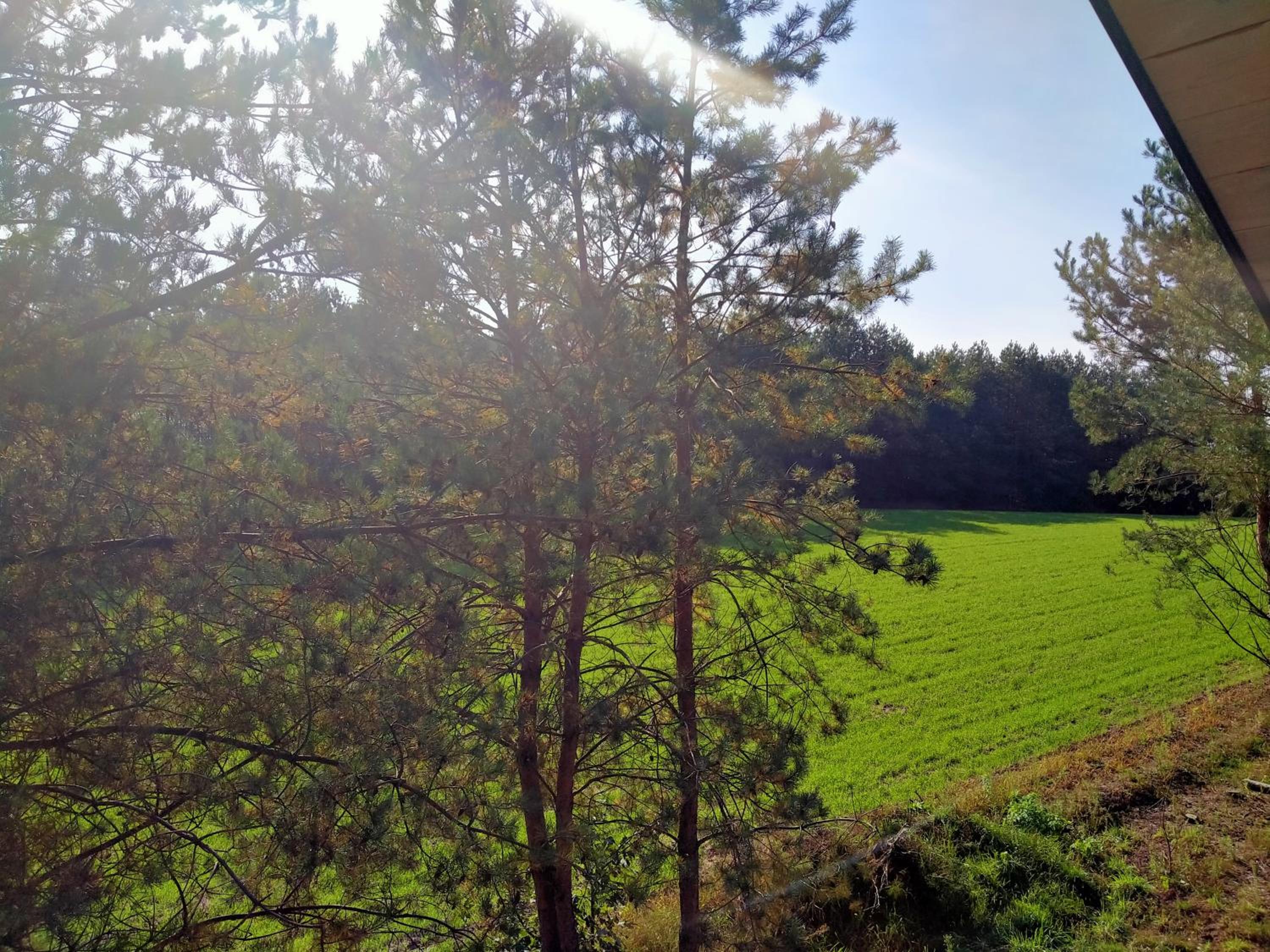 Nadbużańska Przygoda view 4