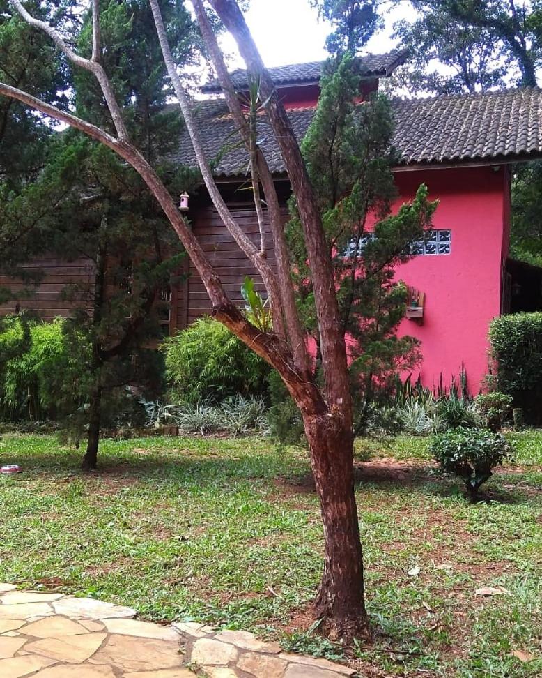 Chalé Cores da Mata