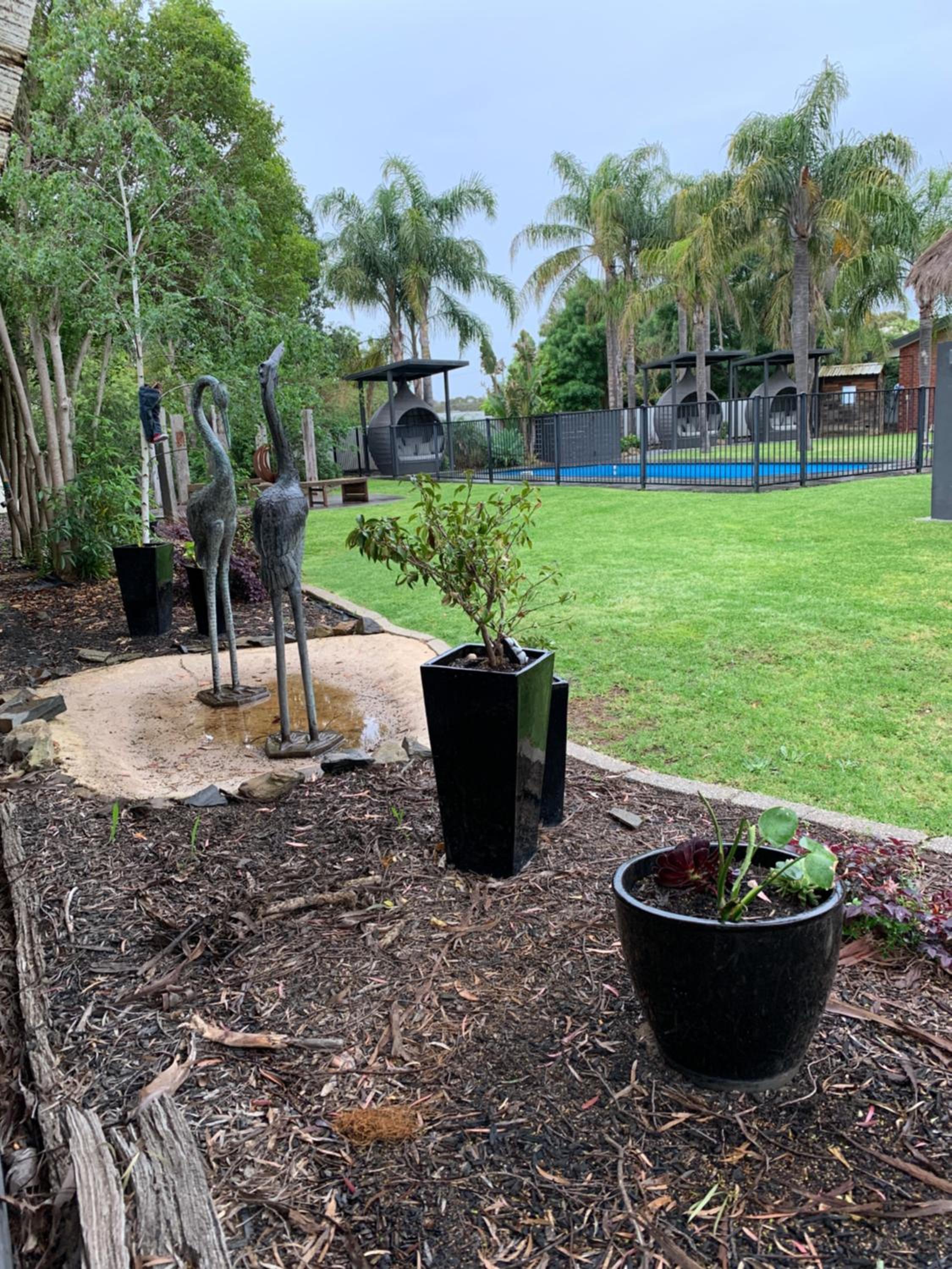 Federation Motel Resort - Corowa