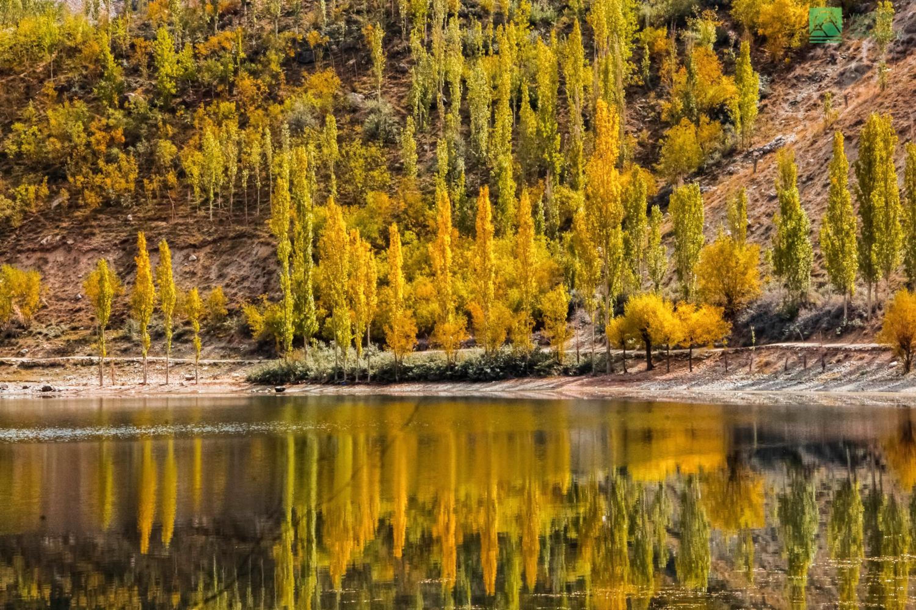 Roomy Yurts, Minapin Nagar Hunza
