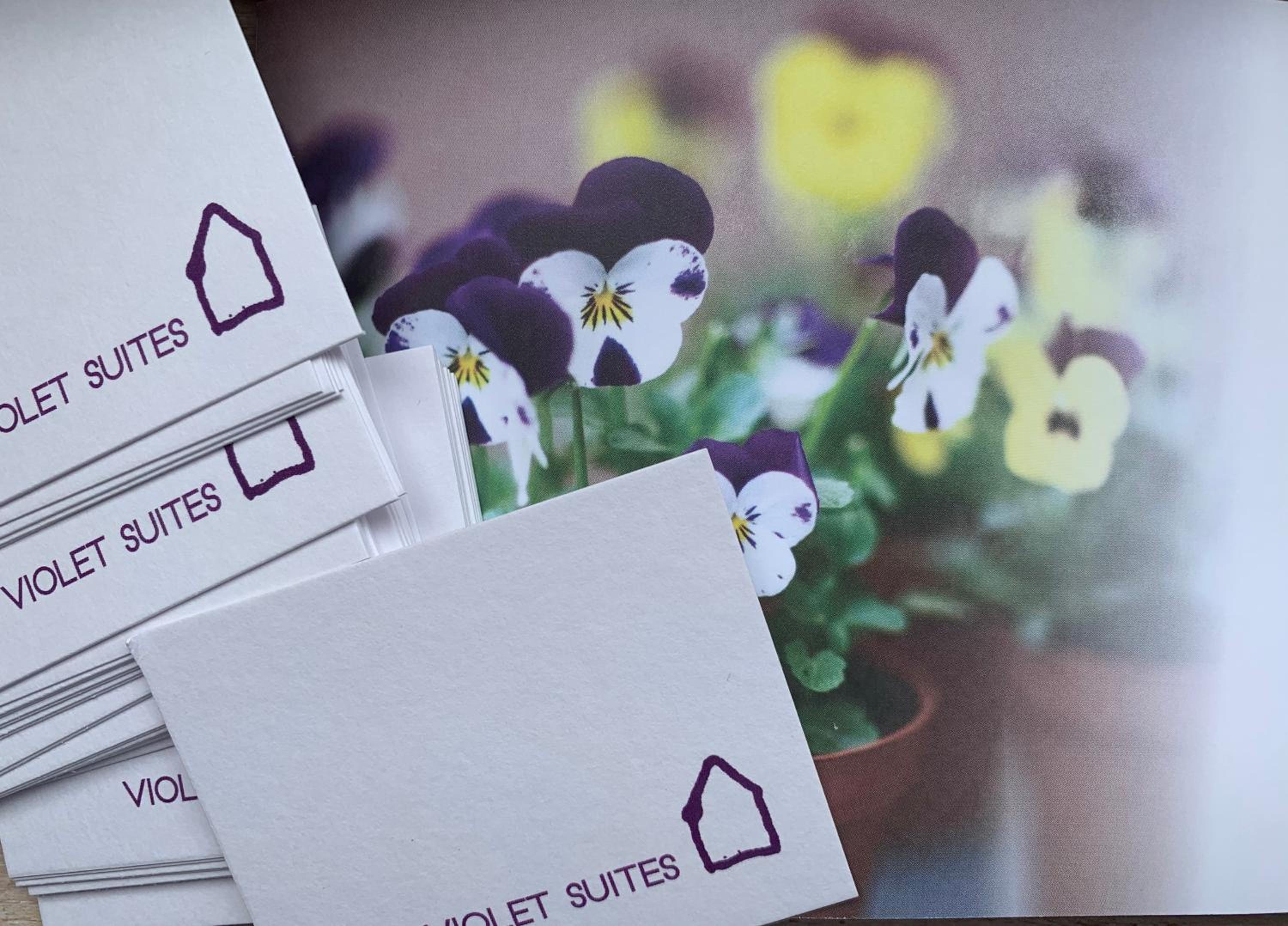 Violet Suites