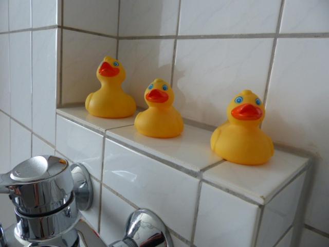 Photo 27