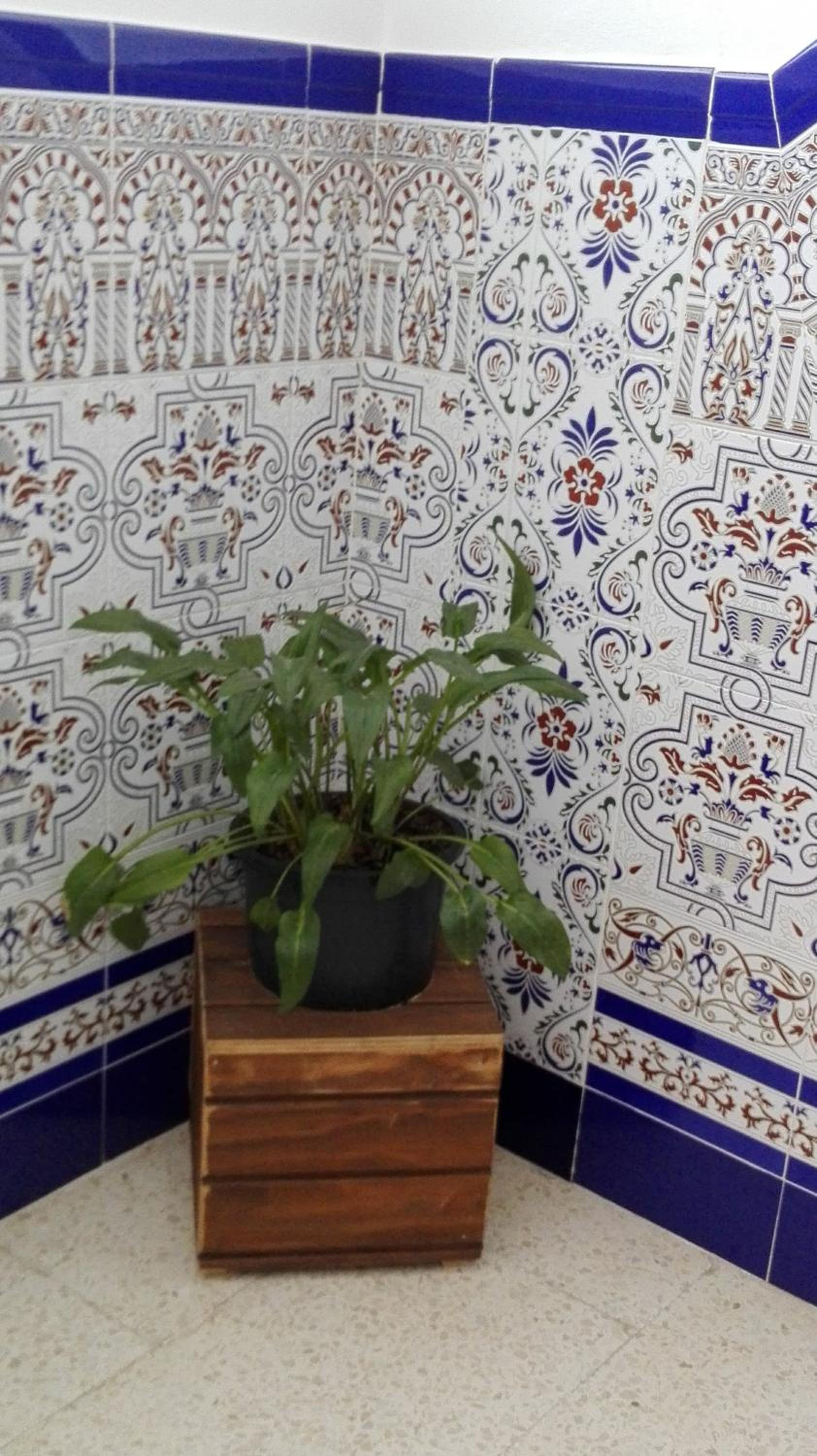 Hermoso Apartamento en Conil view 2
