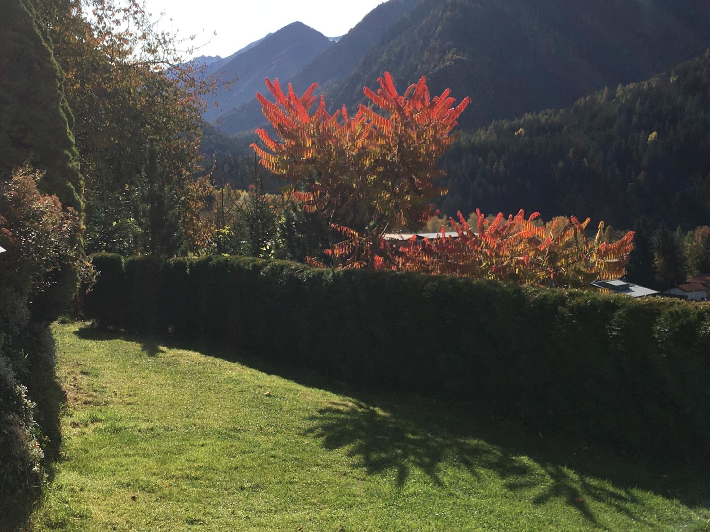 Appartement Birkheim