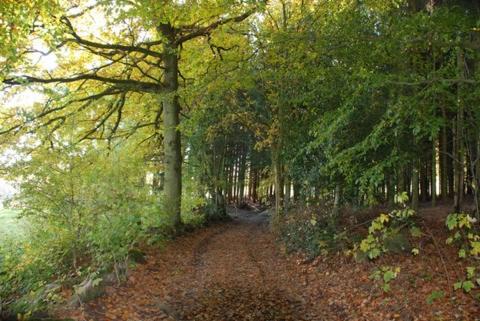 O Près de la Lienne, maison de campagne de charme, accord parfait entre confort et authenticité