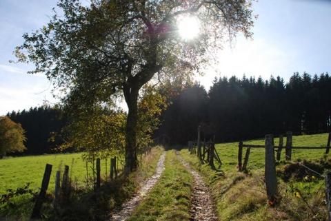 O Près de la Lienne, maison de campagne de charme, accord parfait entre confort et authenticité