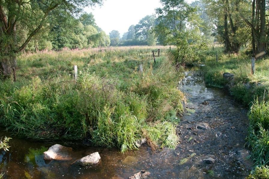O Près de la Lienne, maison de campagne de charme, accord parfait entre confort et authenticité