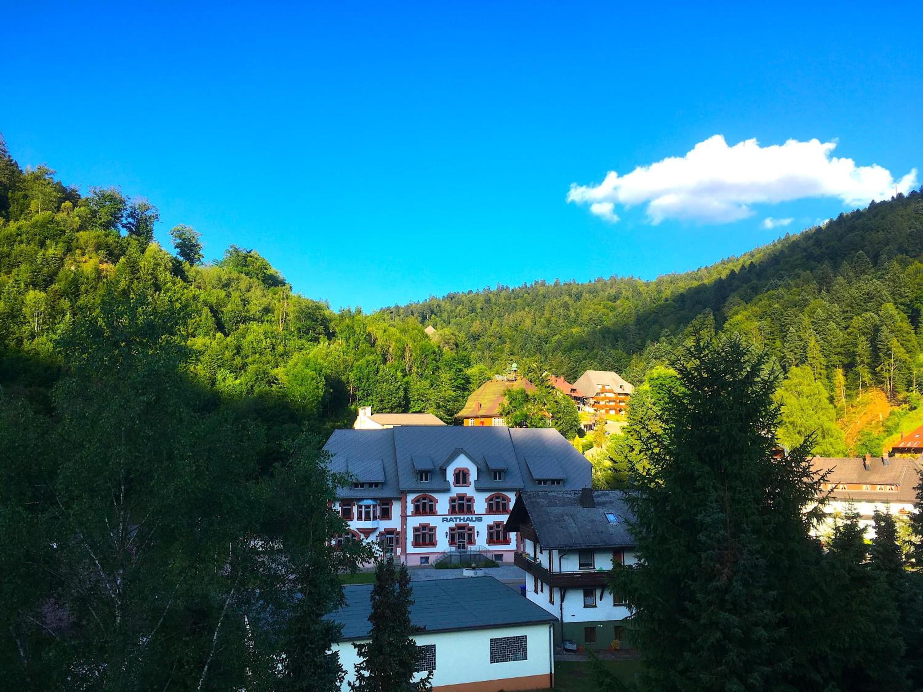 Ferienwohnung Schwarzwald Todtmoos view 3