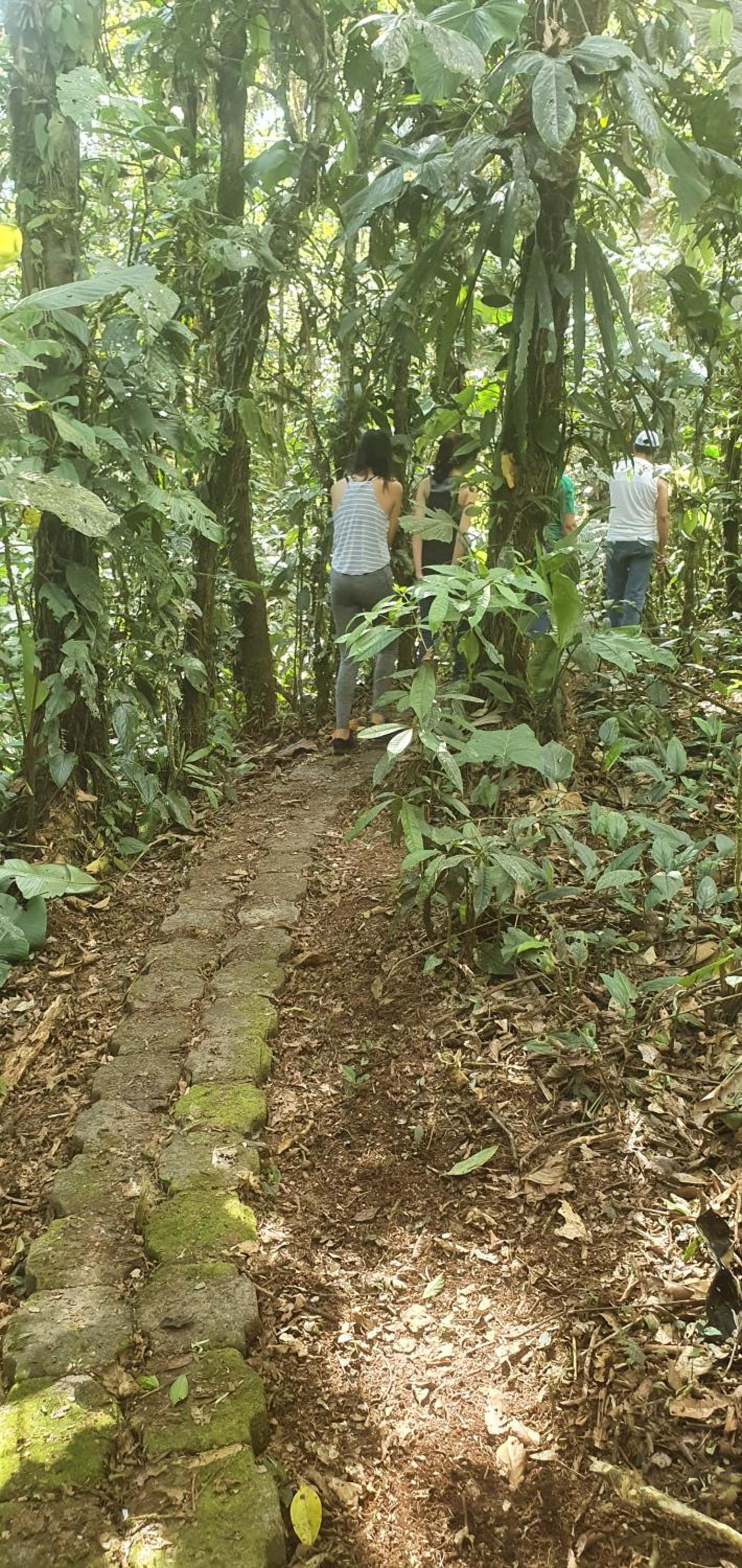 Finca Las Palmas Ecolodge view 5