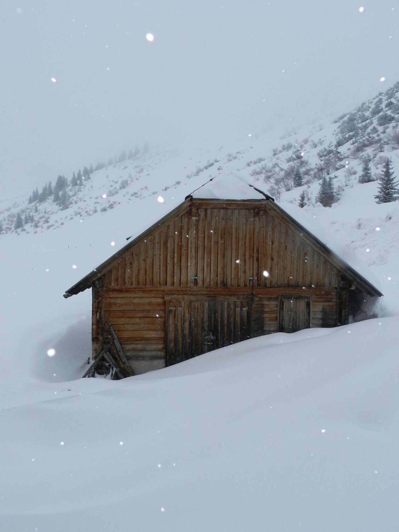Haus Andrea