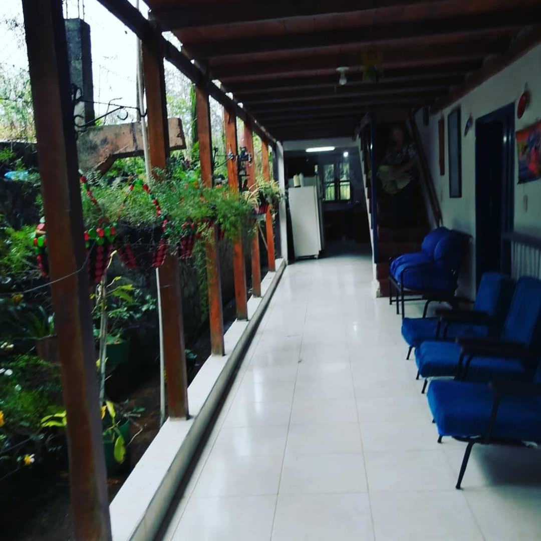 Photo 61