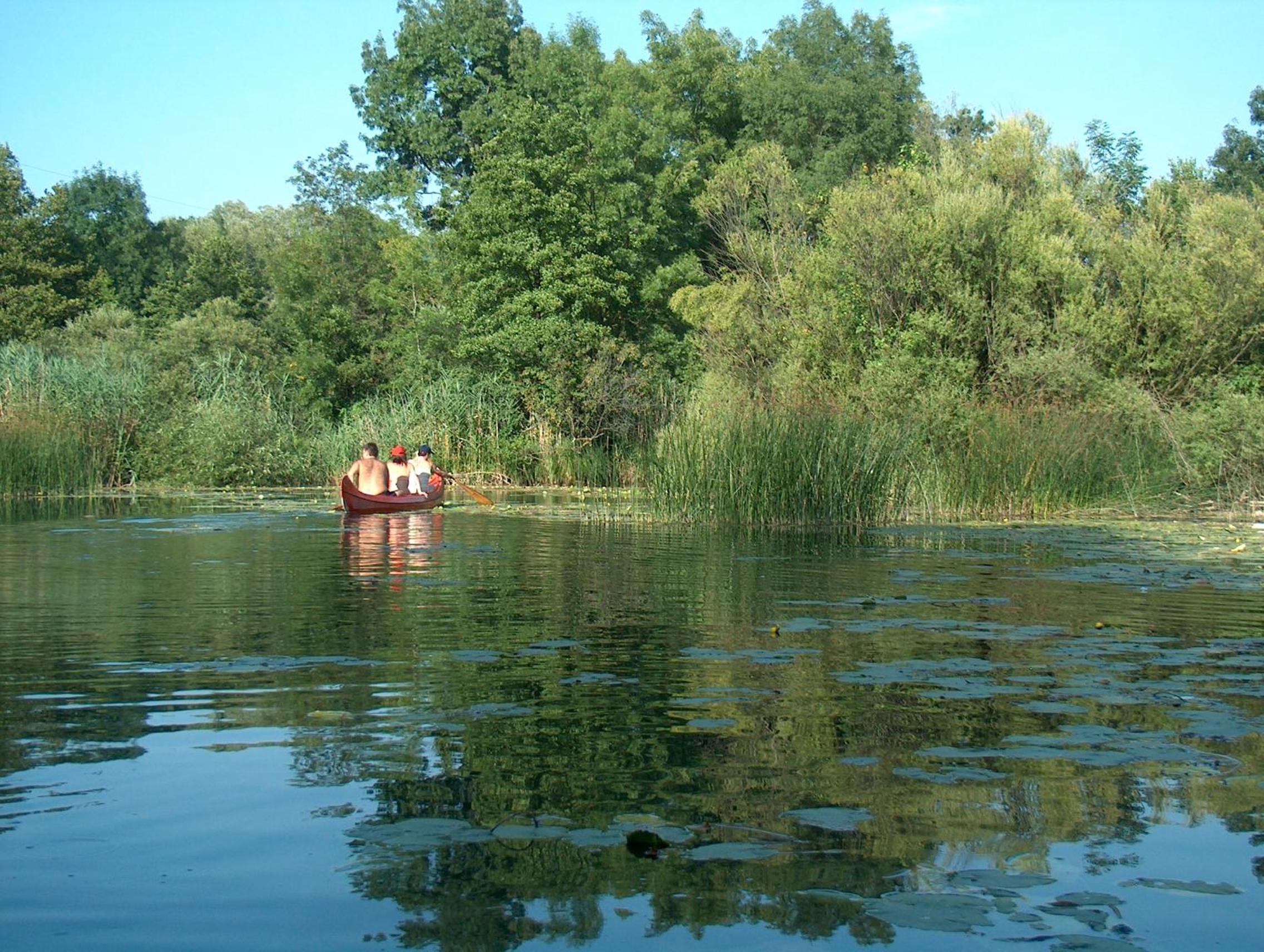 Photo 47