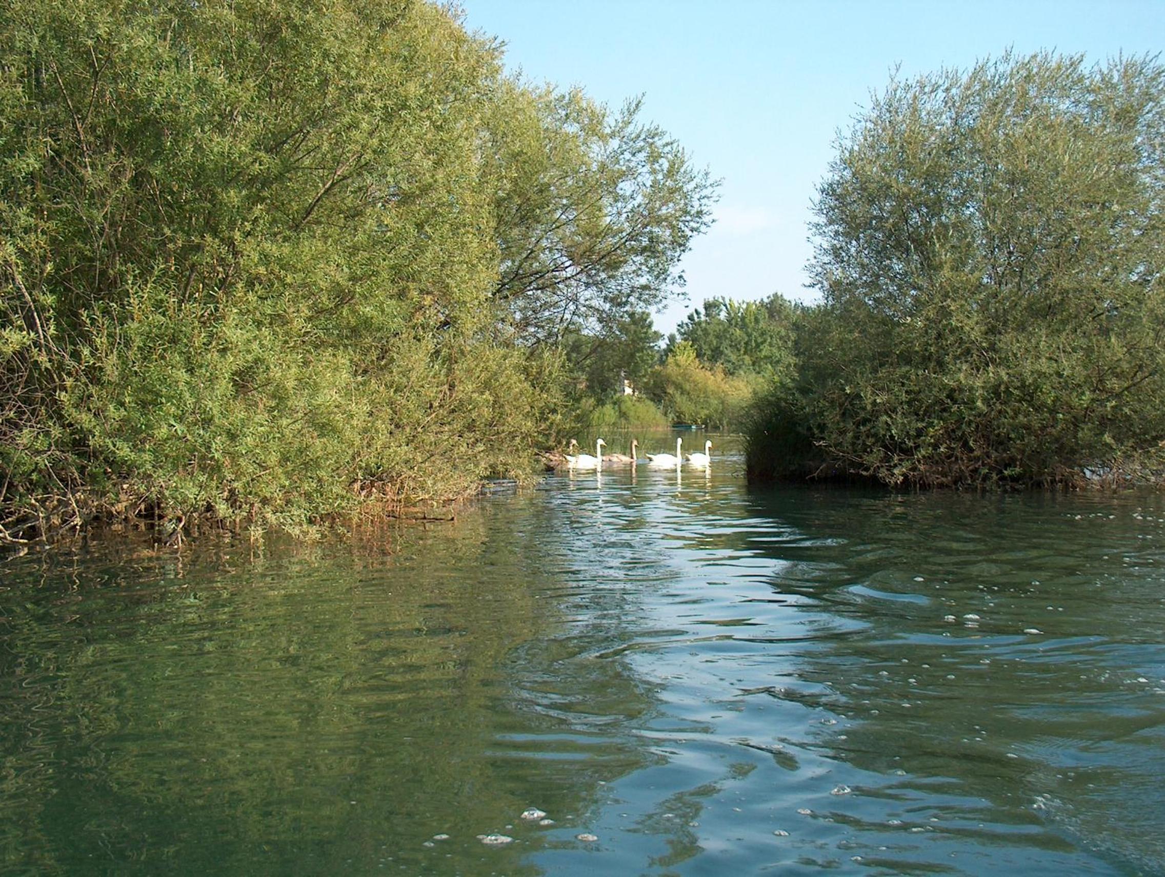 Photo 49
