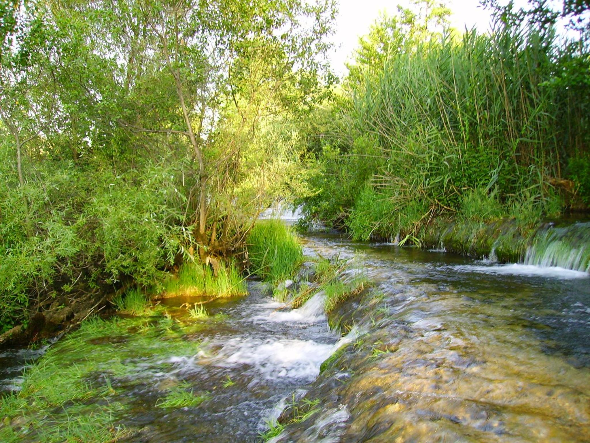 Photo 34