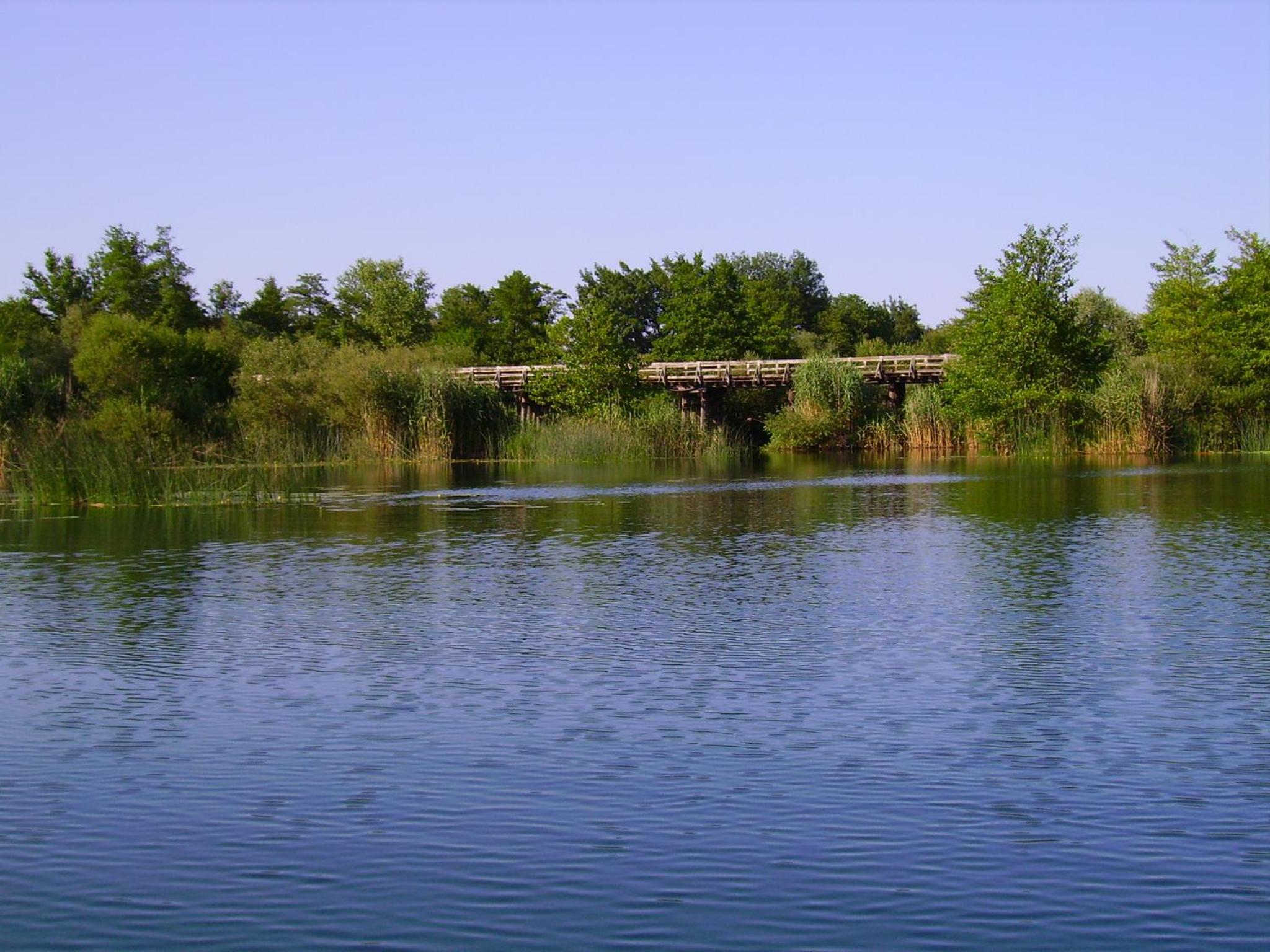 Photo 30