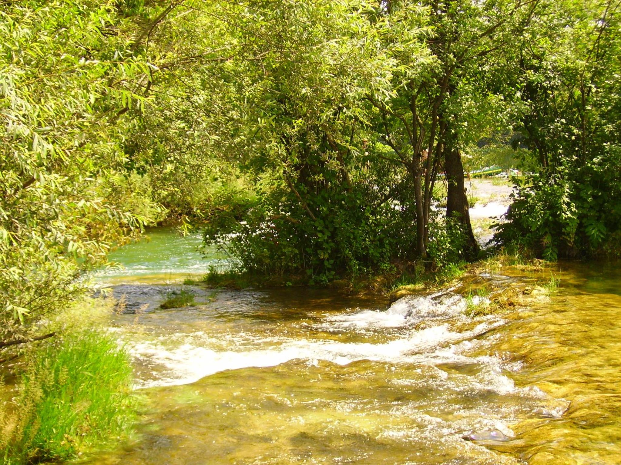 Photo 29
