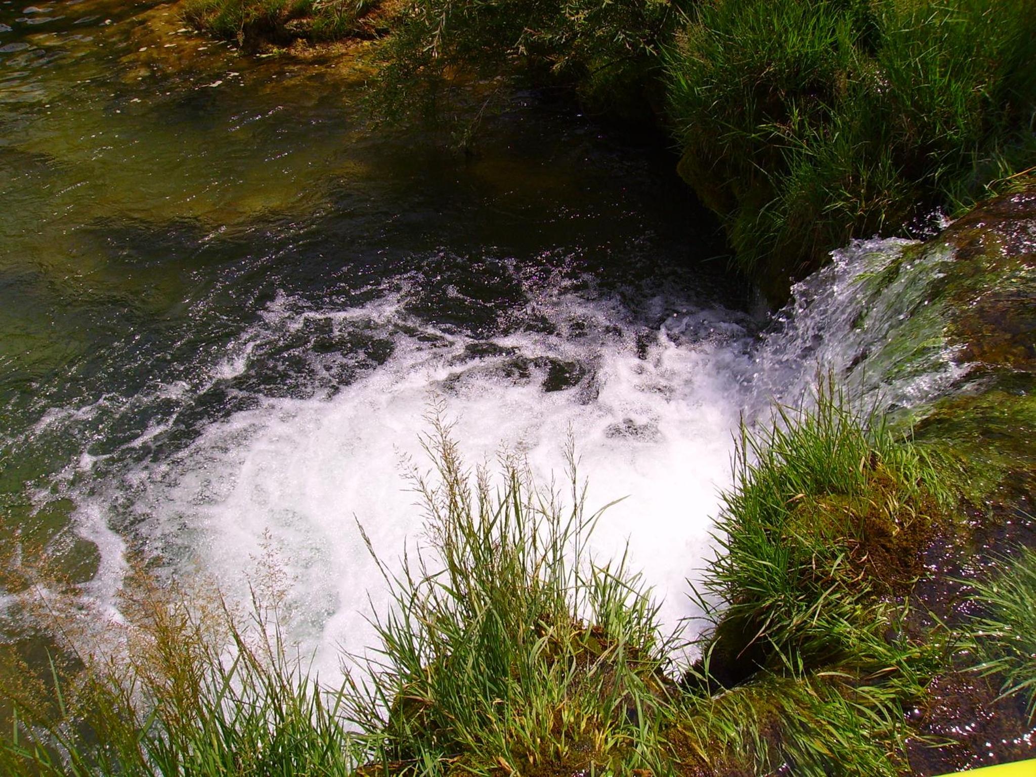 Photo 24