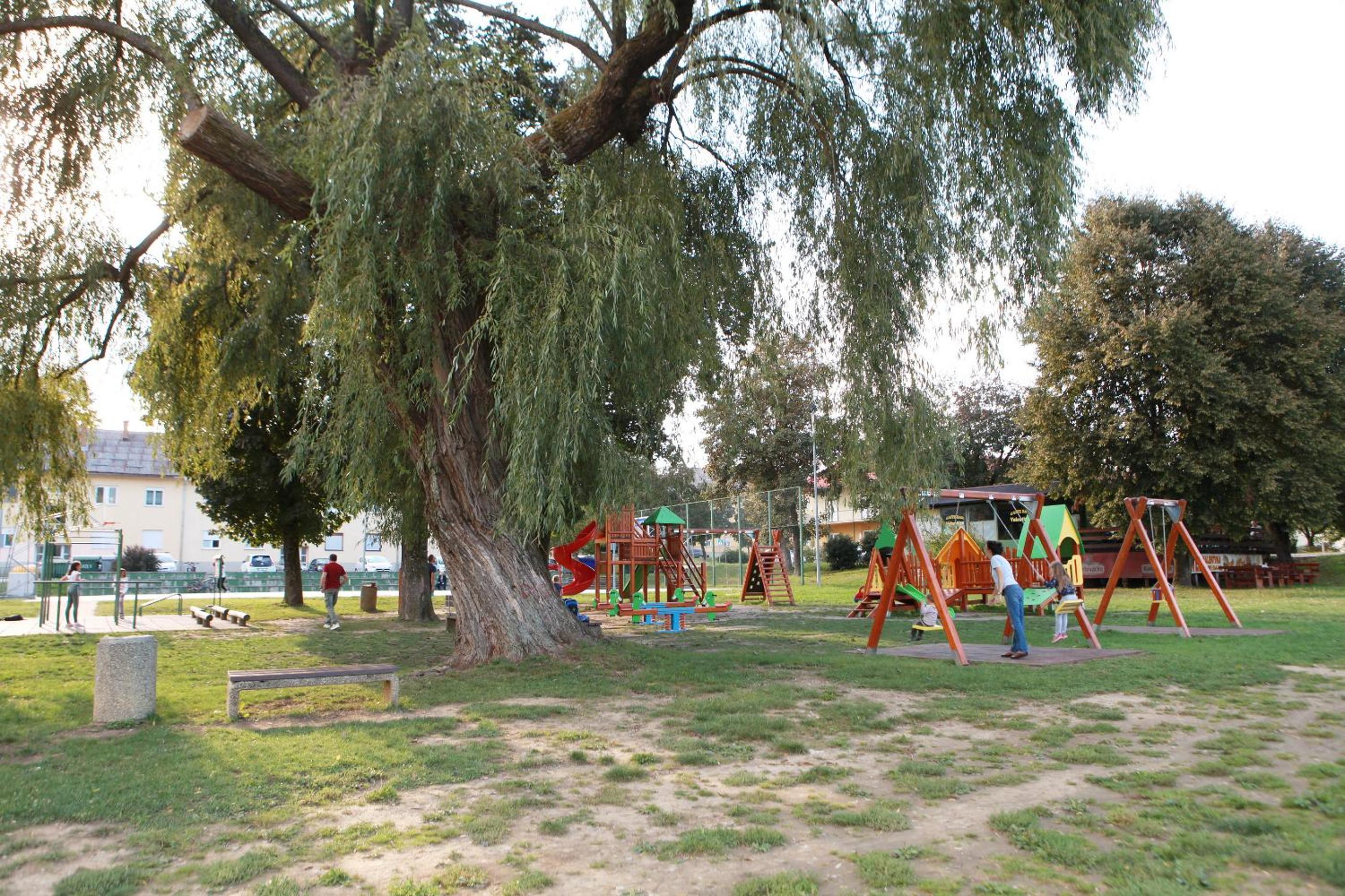 Photo 44