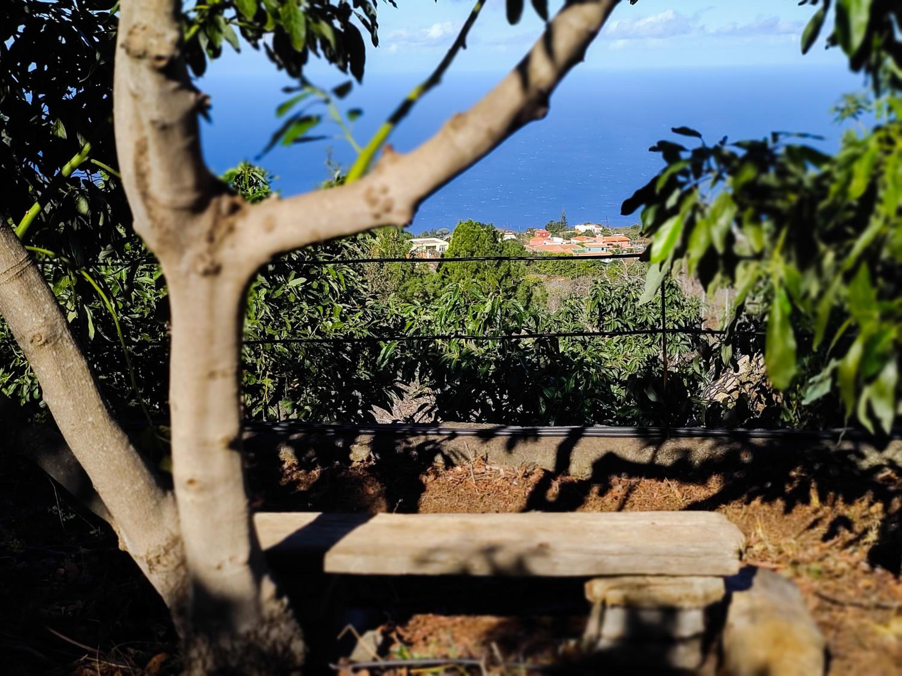 La casa de La Cartita view 3