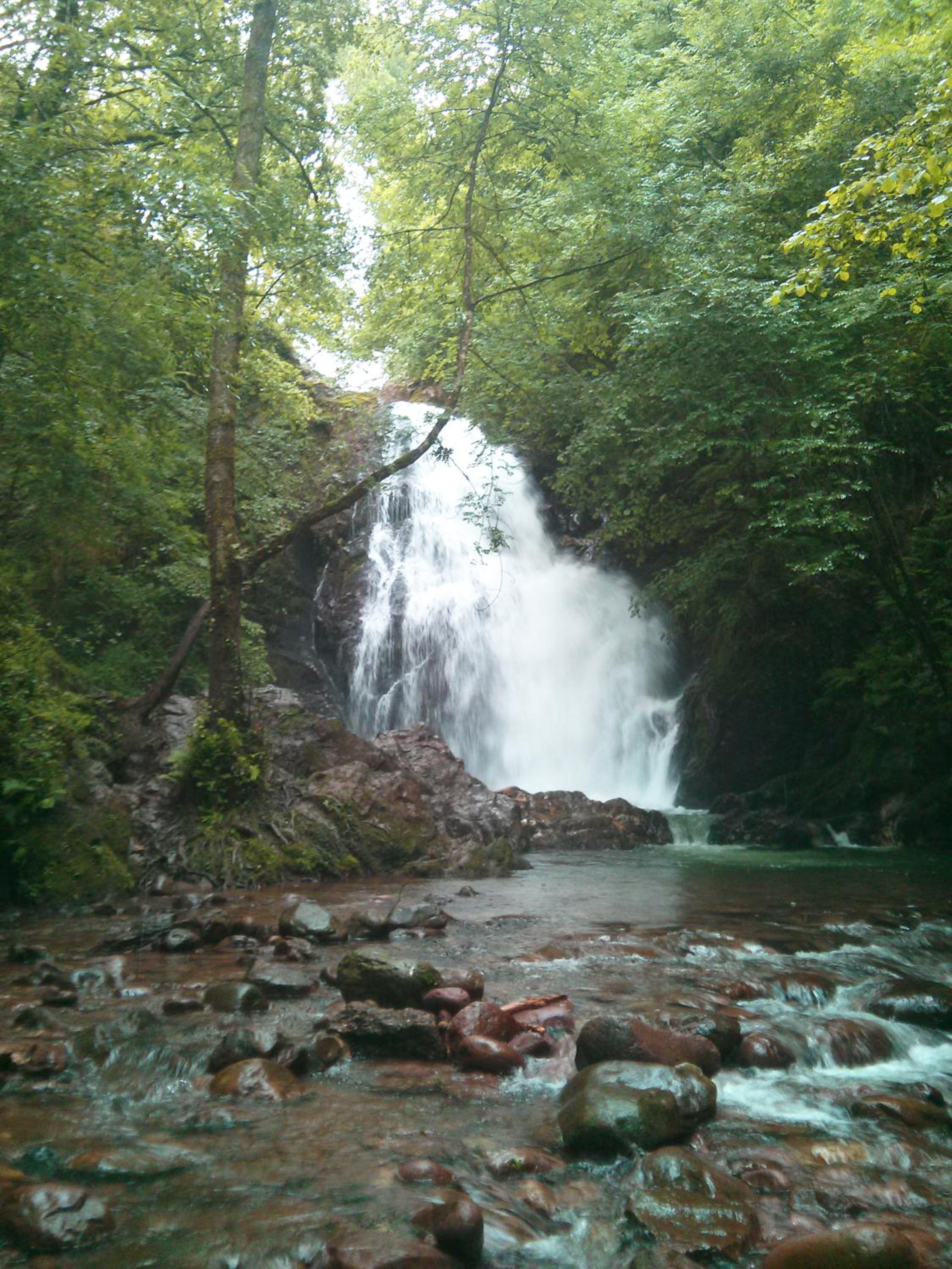 Photo 33